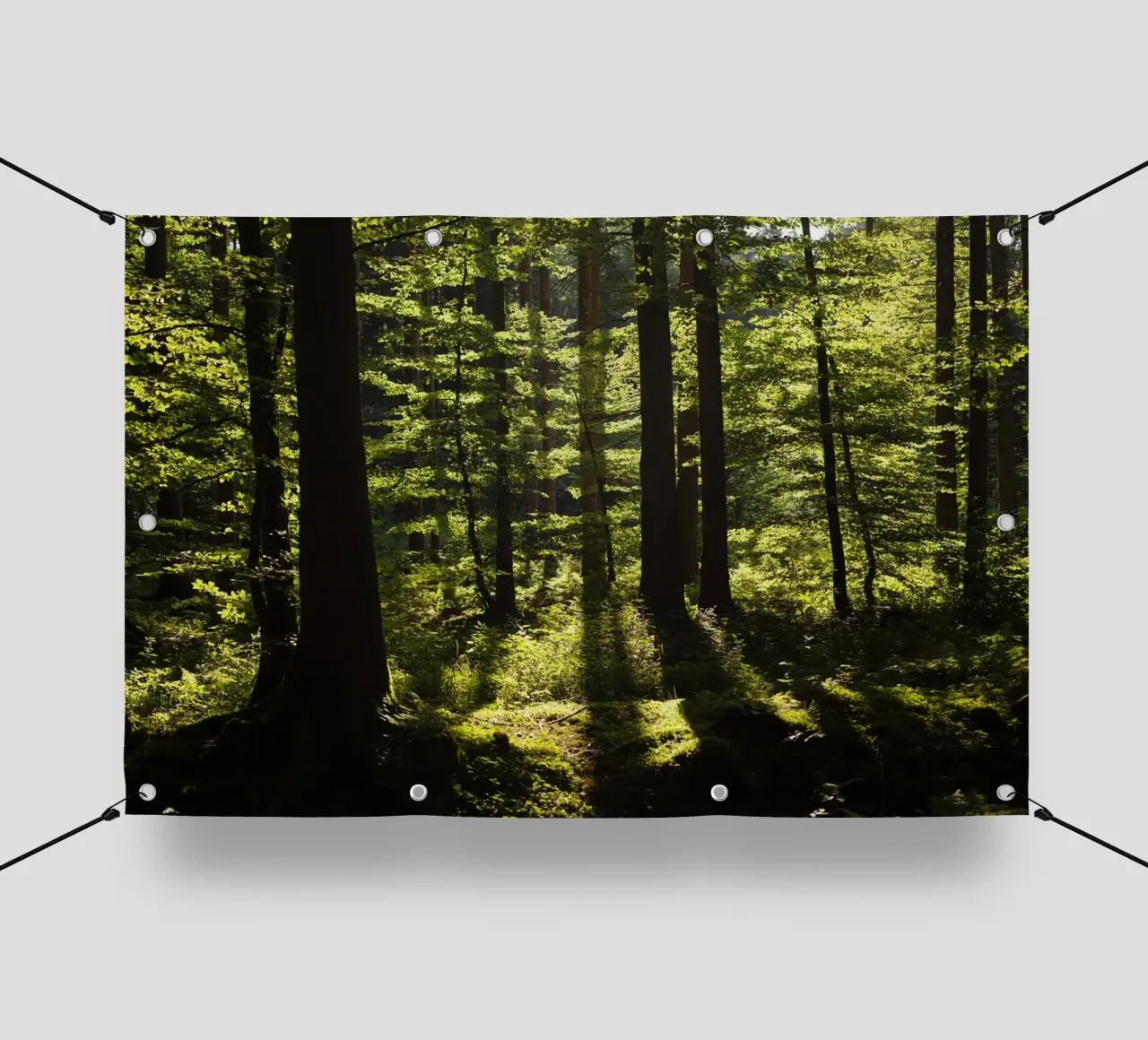 Foresta in Alta Baviera, Aying telo in pvc da Simon Koy