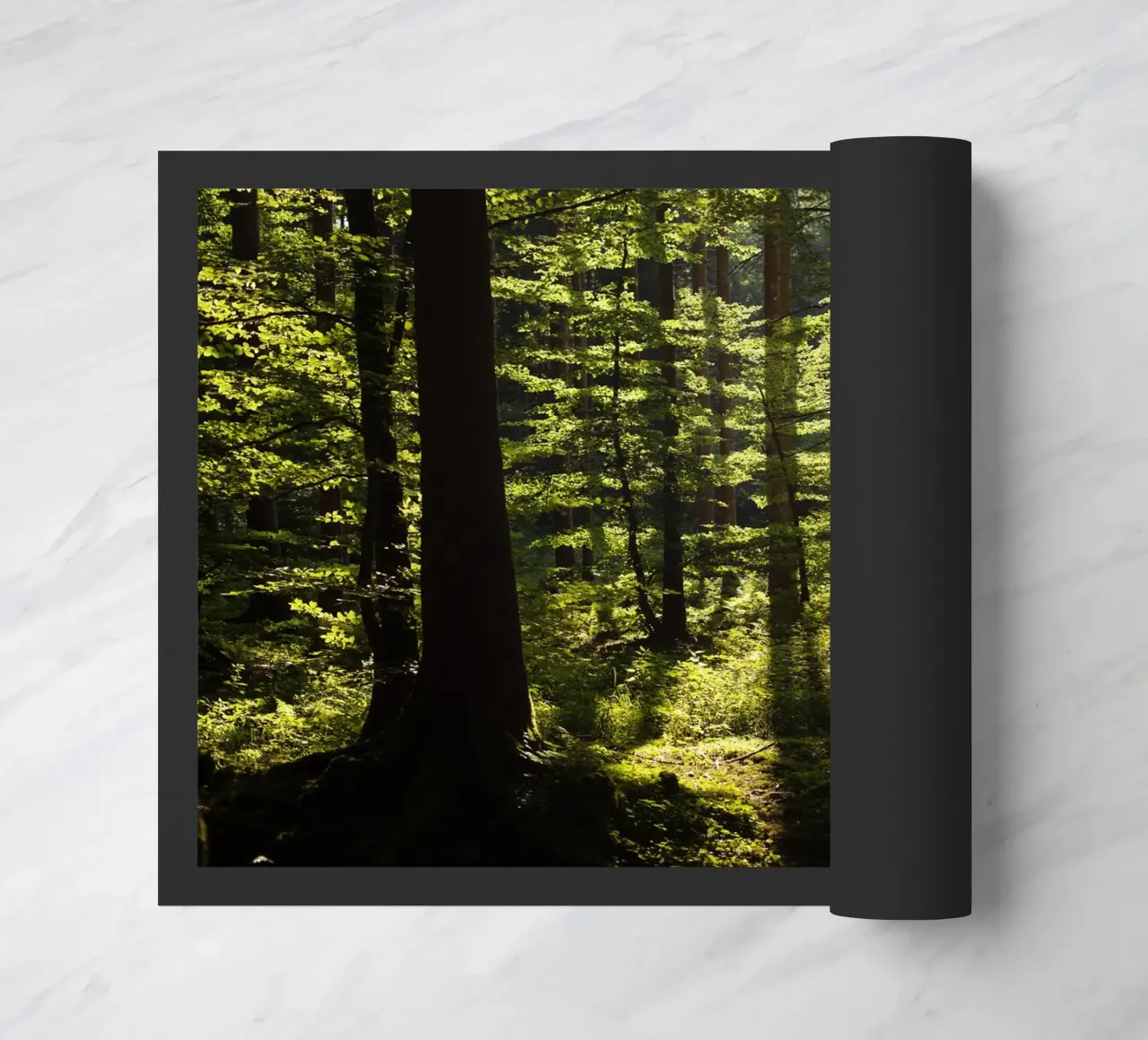 Foresta in Alta Baviera, Aying zerbino da fotokunst