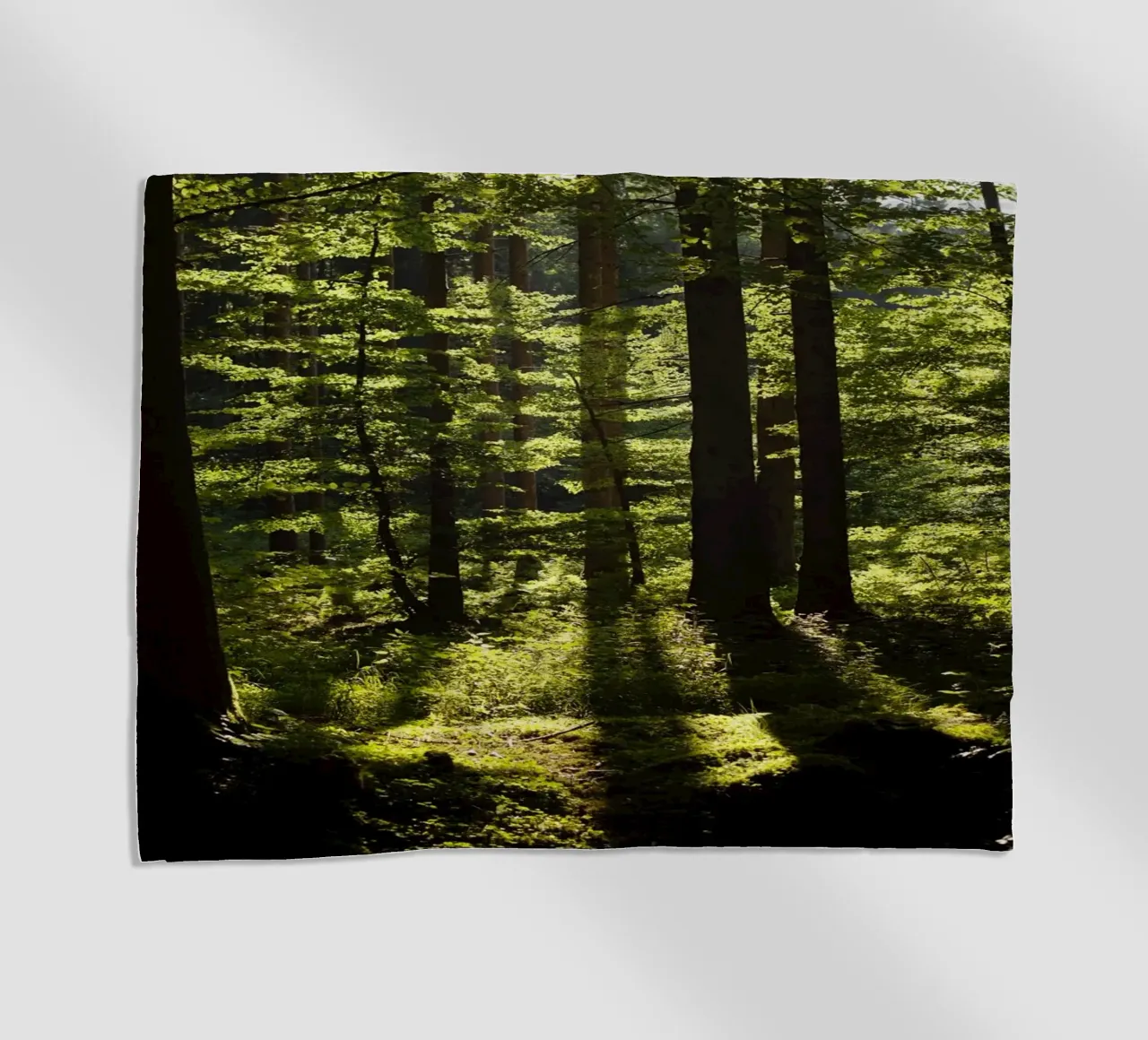 Foresta in Alta Baviera, Aying telo mare da Simon Koy