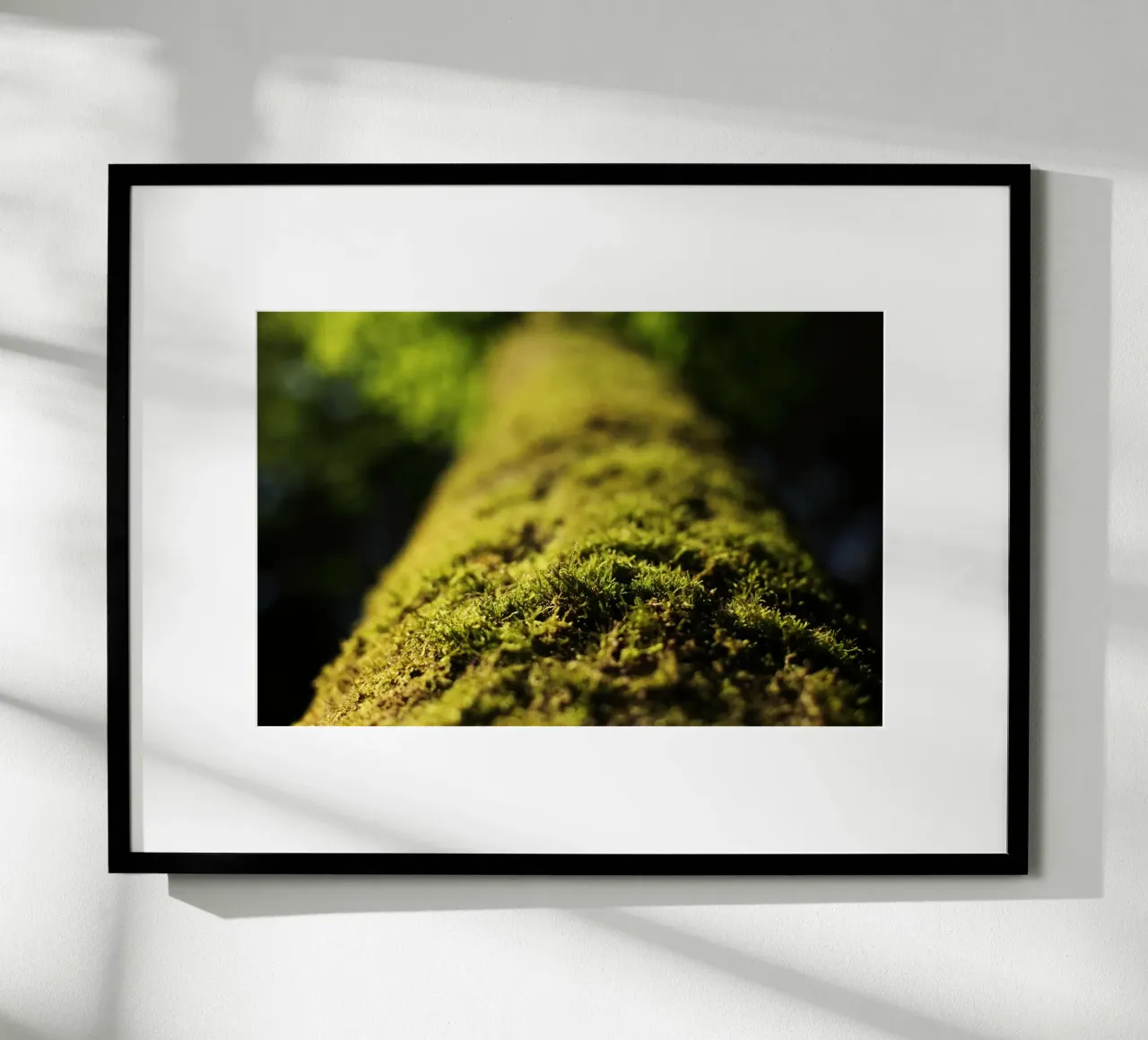 grüne Moos in Aying, Oberbayern Poster mit Holzrahmen von fotokunst