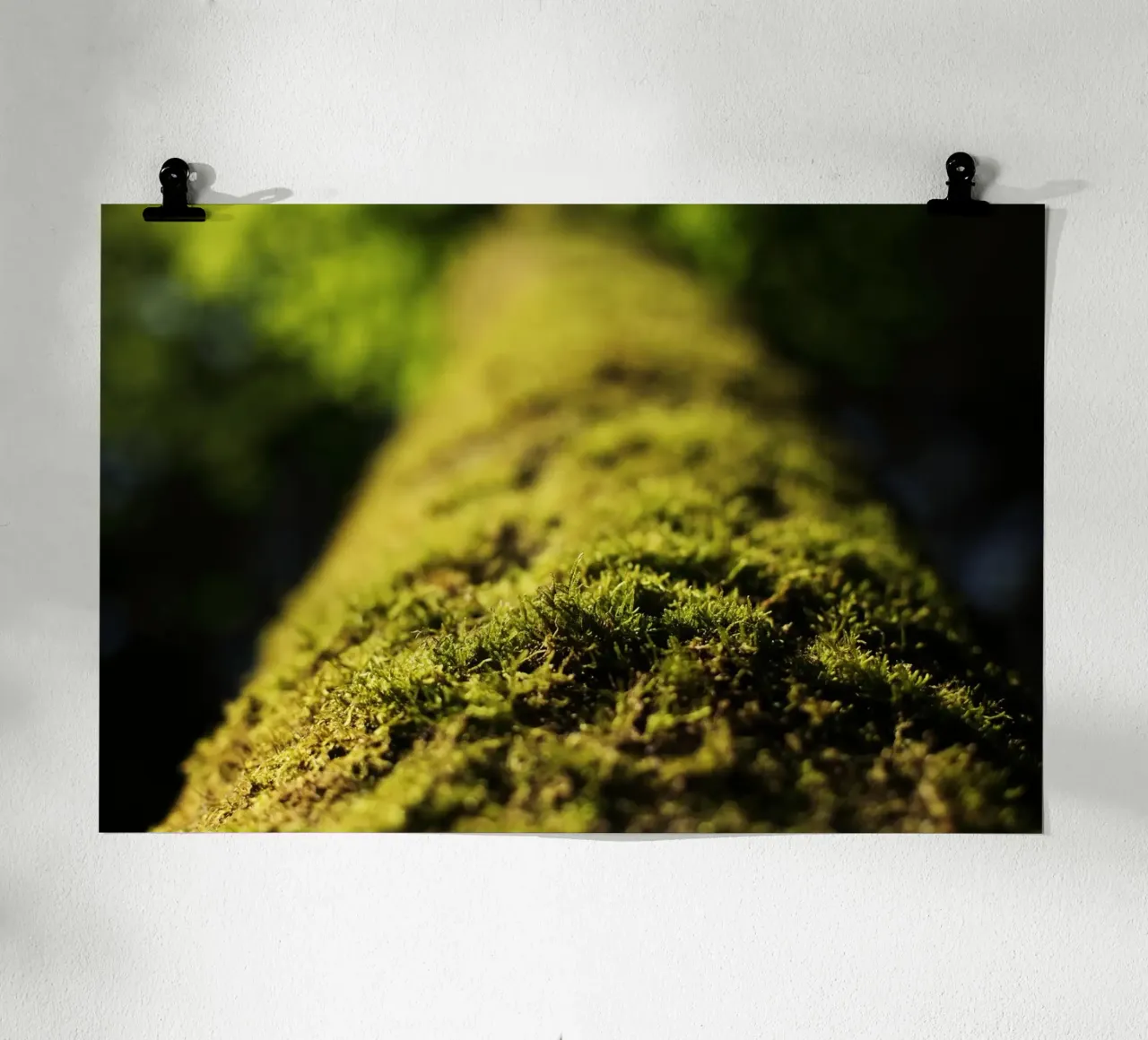 grüne Moos in Aying, Oberbayern Poster mit Holzrahmen von fotokunst