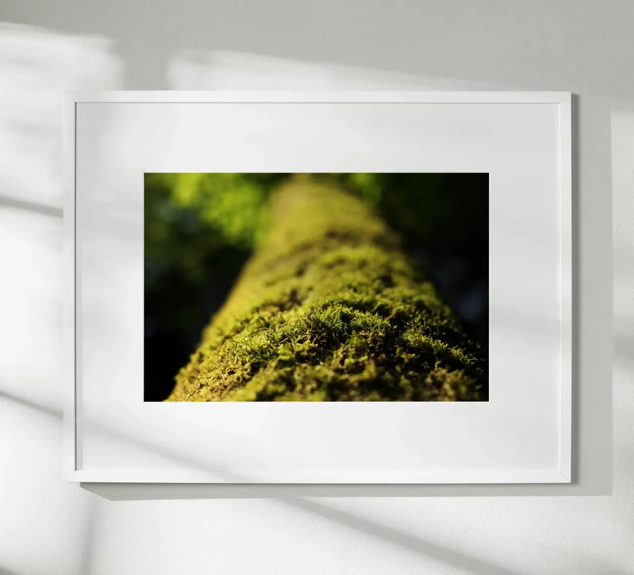 grüne Moos in Aying, Oberbayern Poster mit Holzrahmen von fotokunst