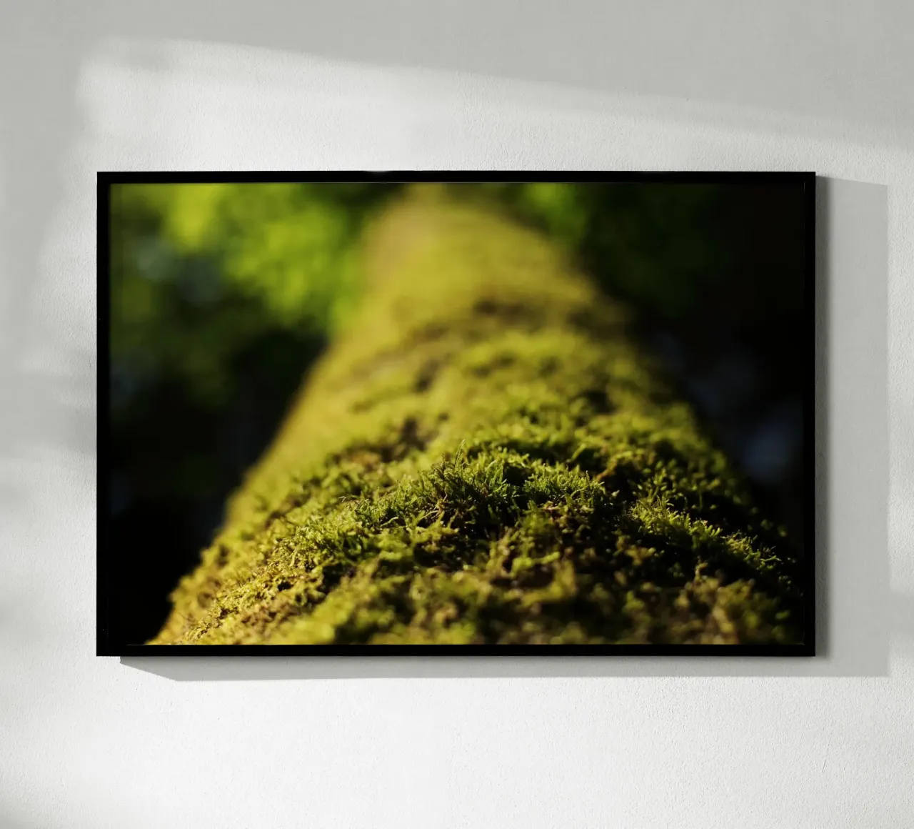 grüne Moos in Aying, Oberbayern Poster mit Holzrahmen von fotokunst