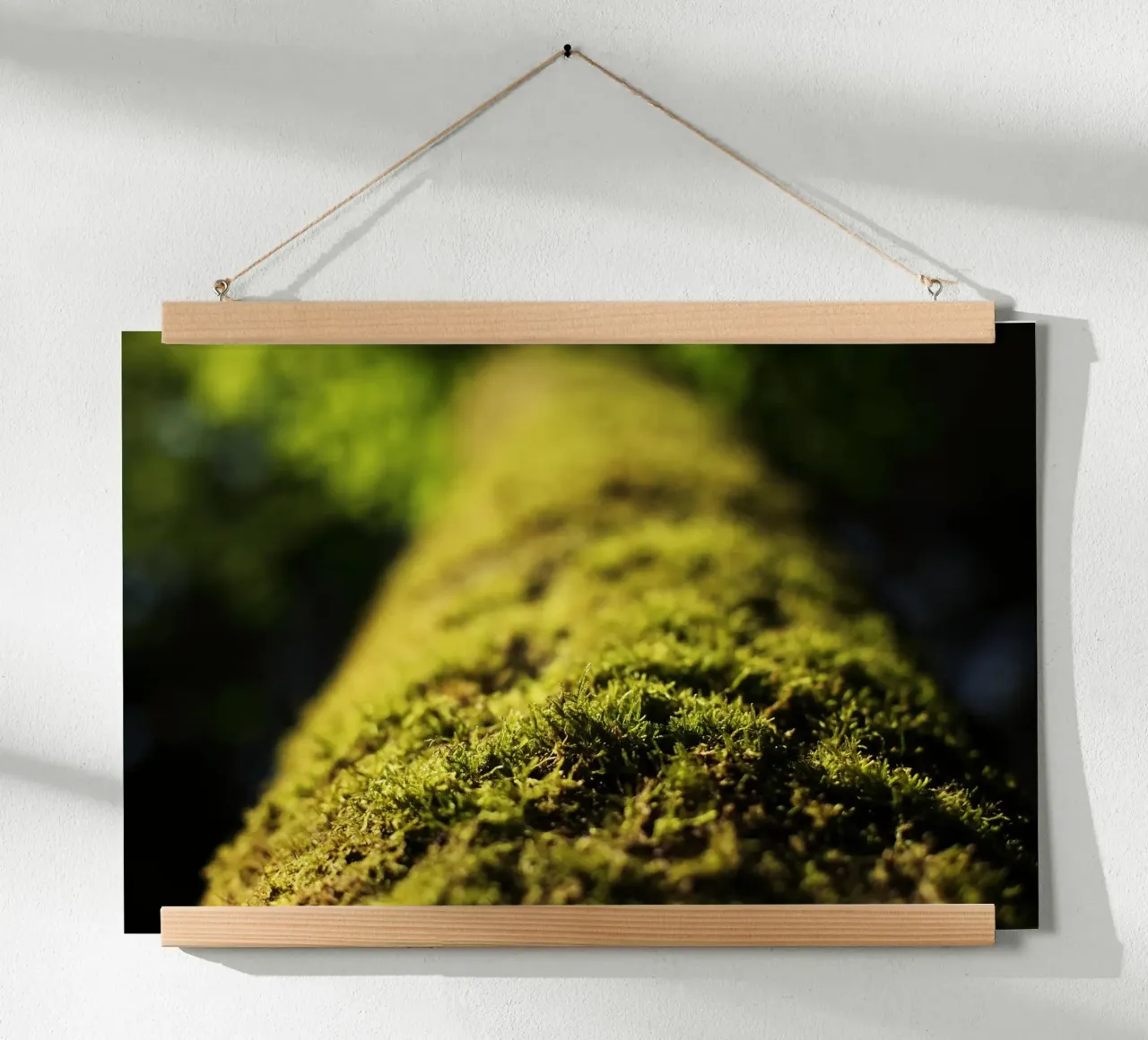 grüne Moos in Aying, Oberbayern Poster mit Holzrahmen von fotokunst