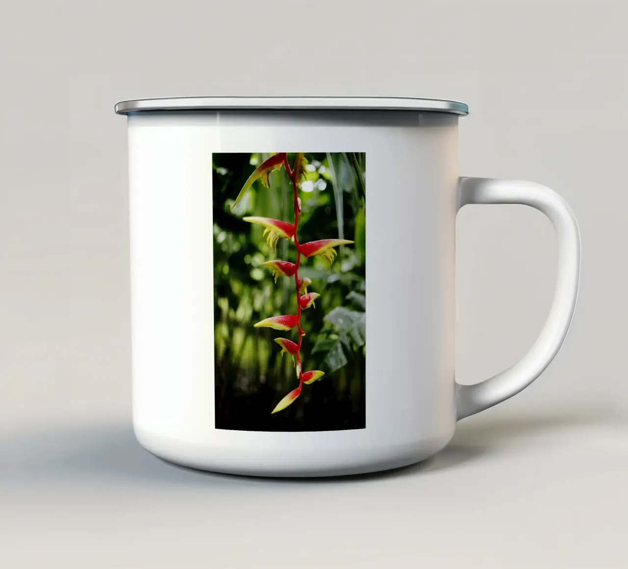 pianta esotica, Singapore tazza in smalto da fotokunst