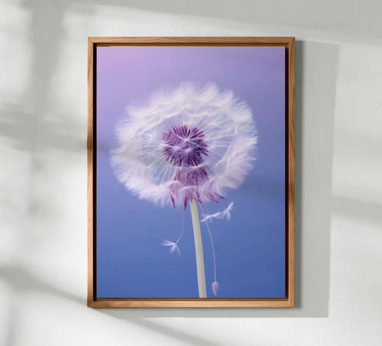 blossom gradient alluminio dibond da Fost