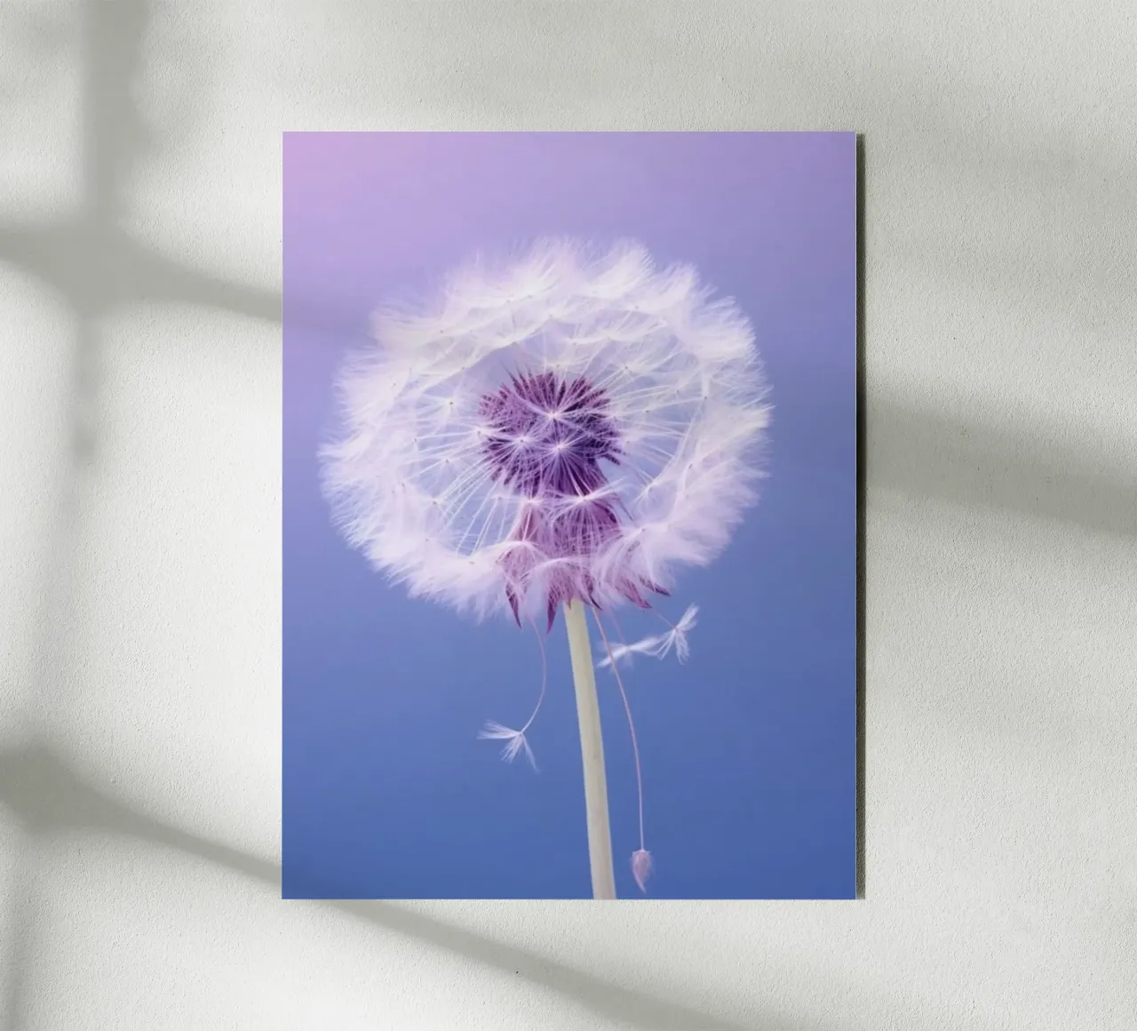 blossom gradient alluminio dibond da Fost