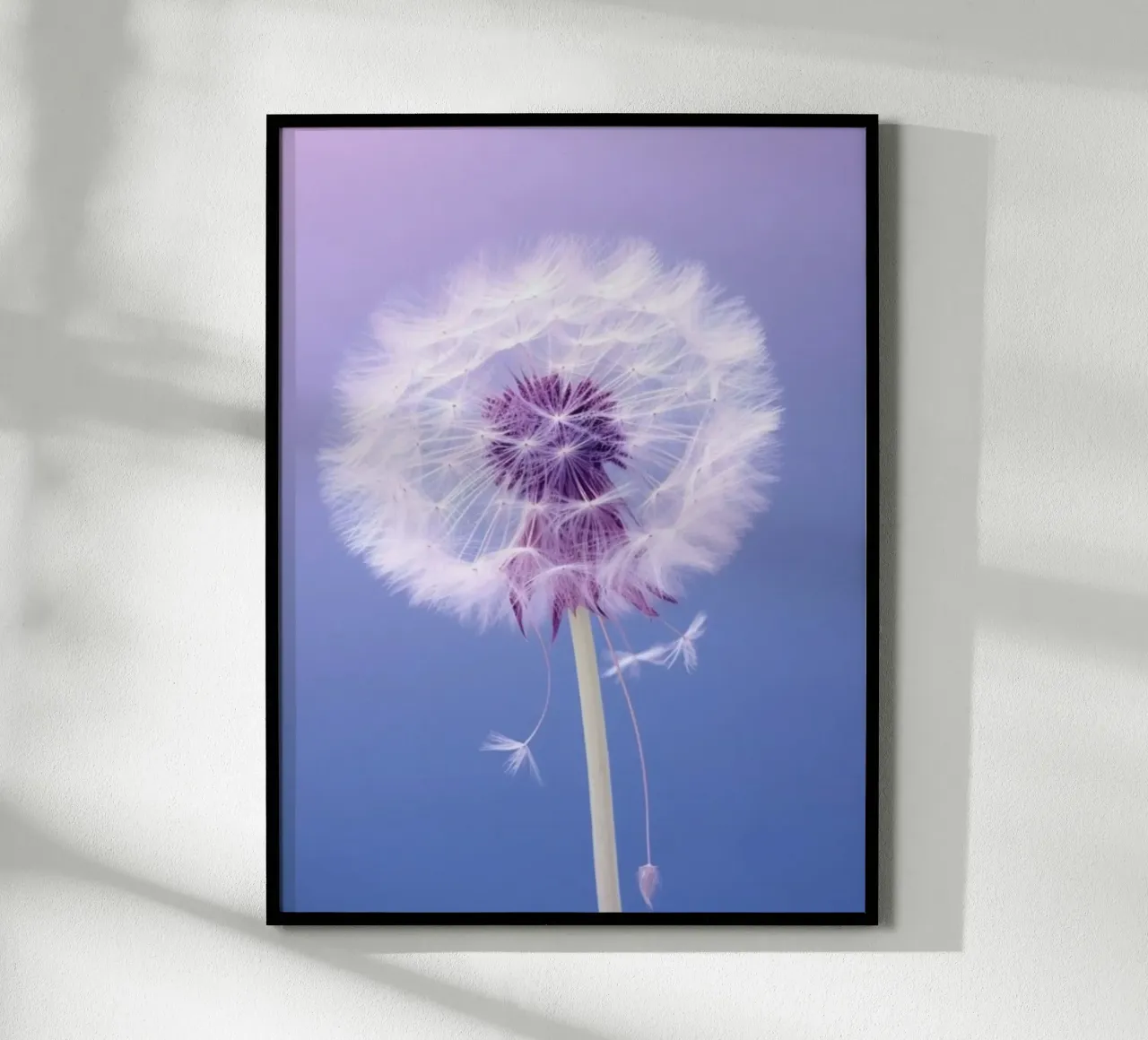 blossom gradient poster da Fost