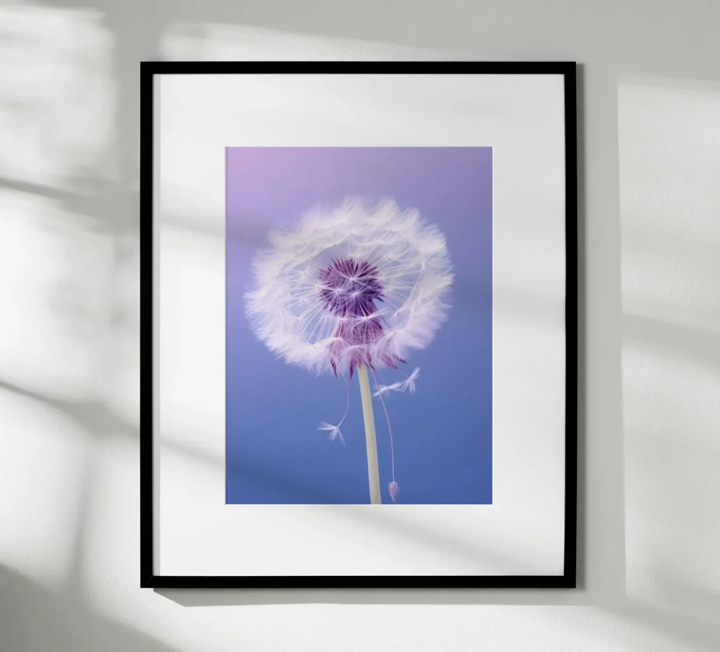 blossom gradient poster da Fost