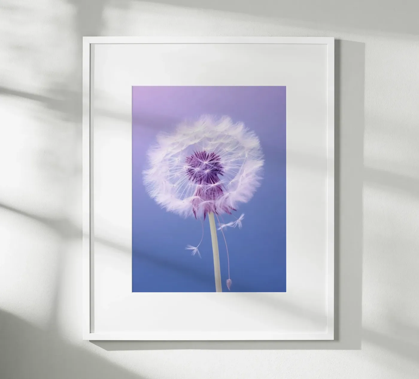 blossom gradient poster da Fost