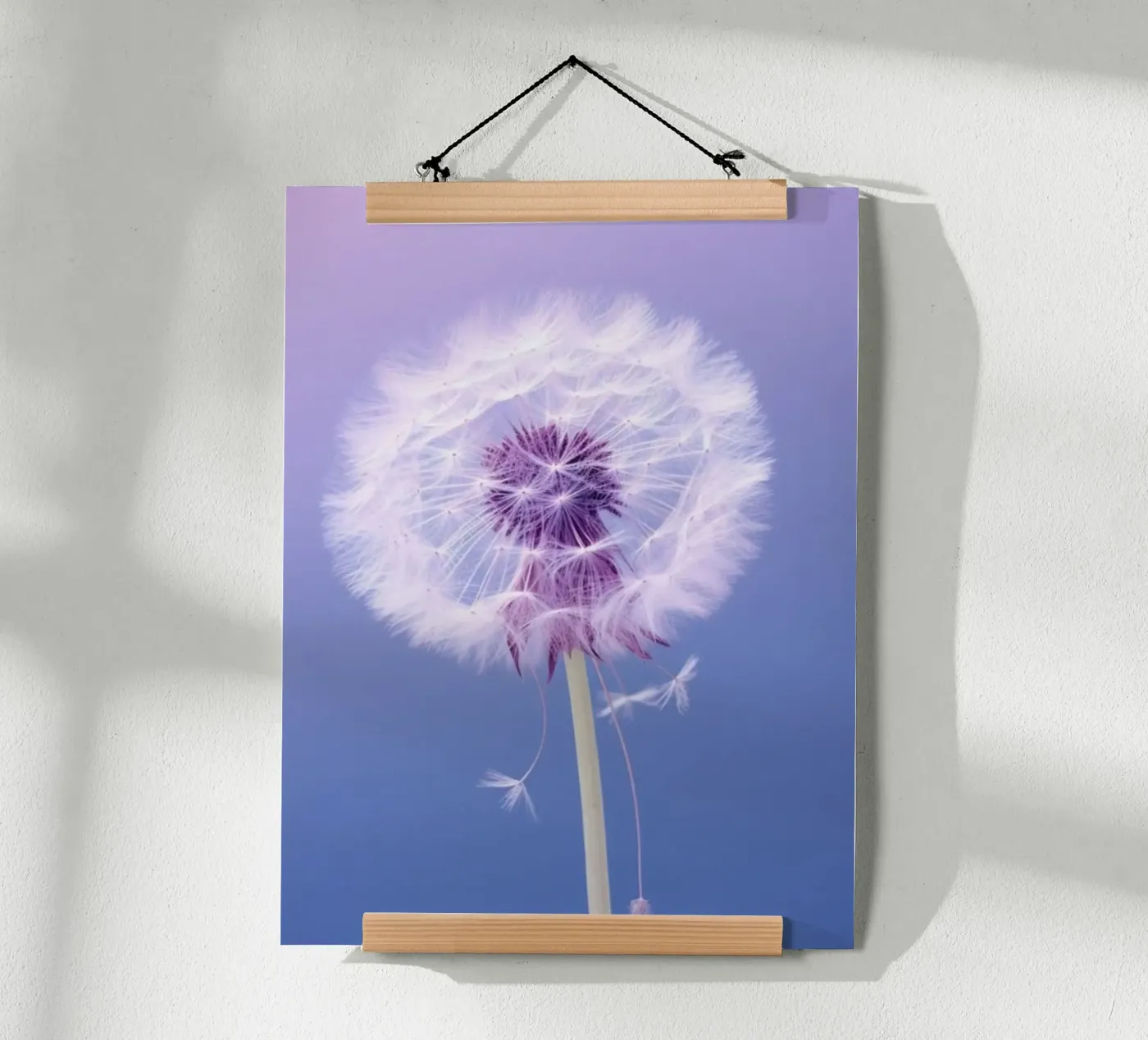 blossom gradient poster da Fost