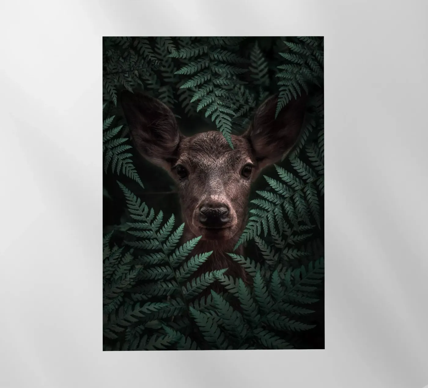 Deer pellicola backlit da arizrab