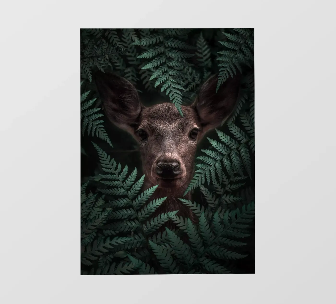 Deer fotobehang van arizrab