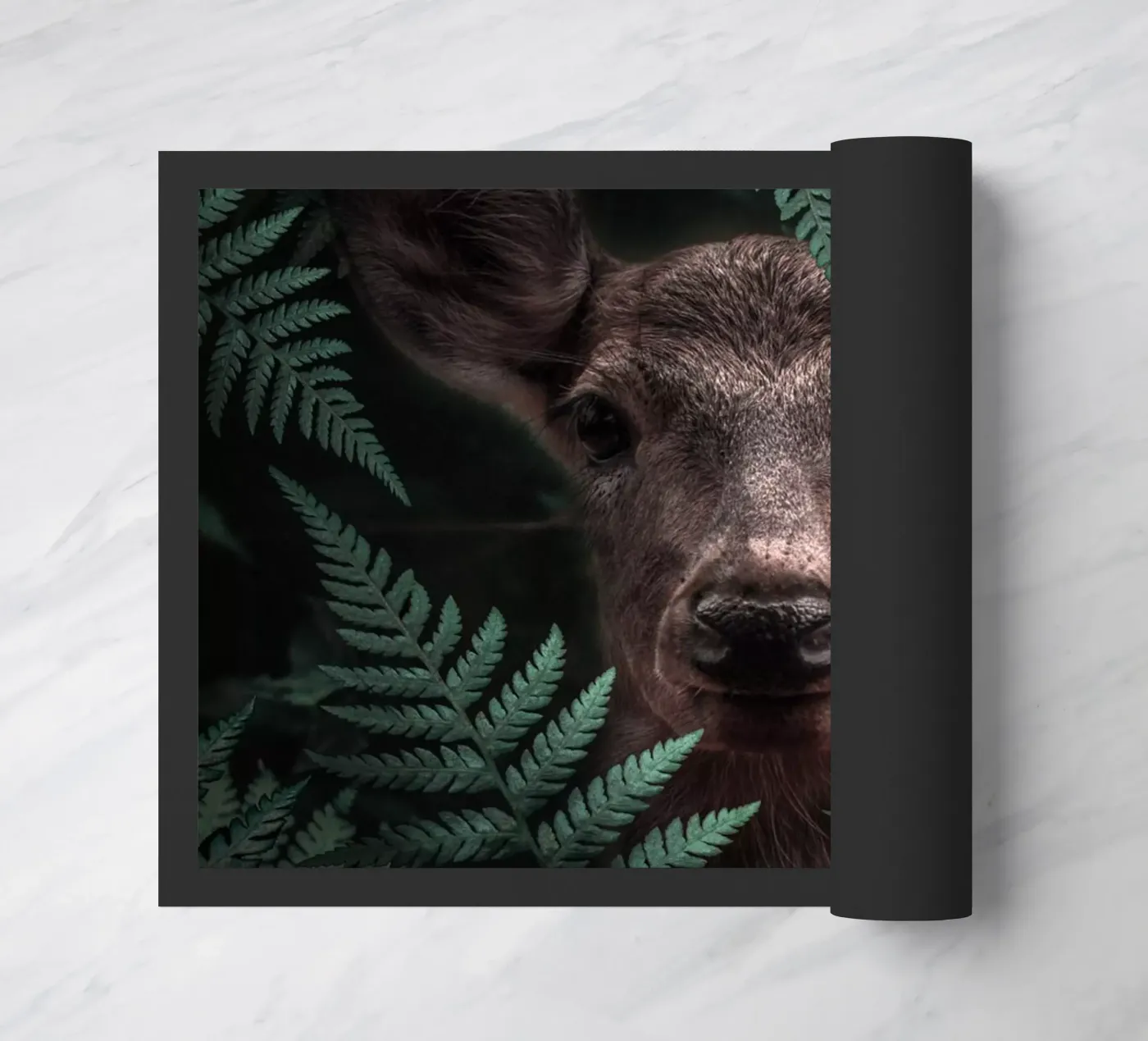 Cervo zerbino da arizrab