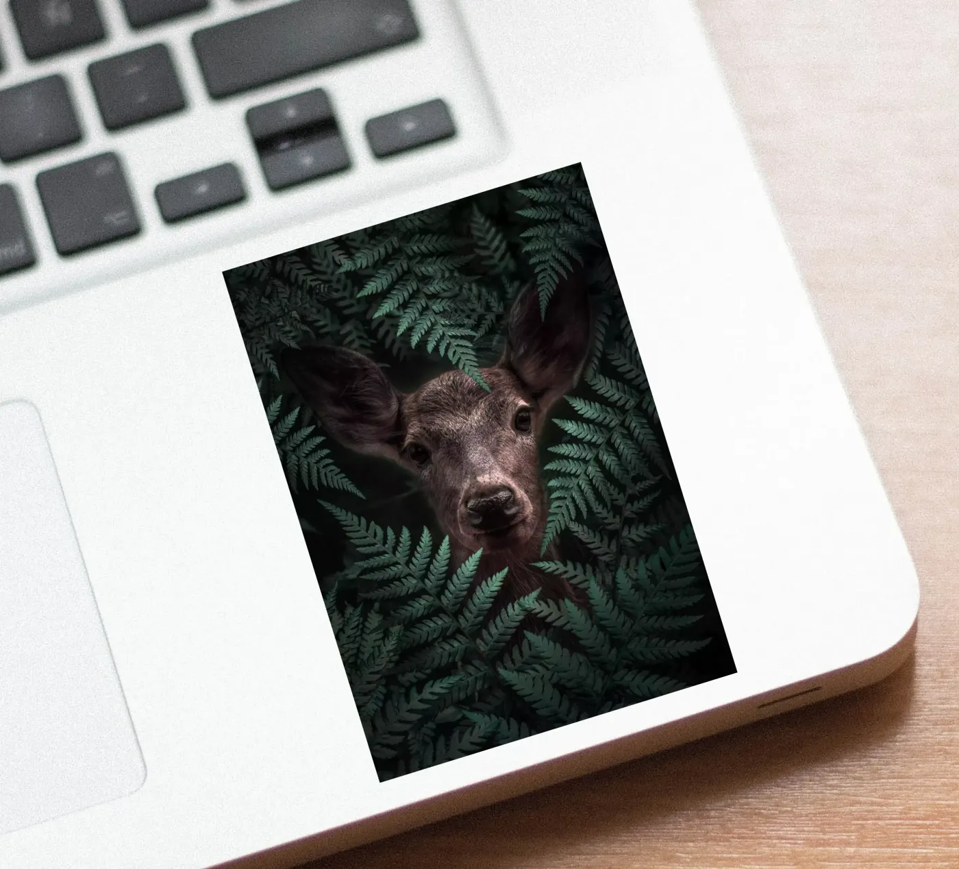 Deer sticker by arizrab
