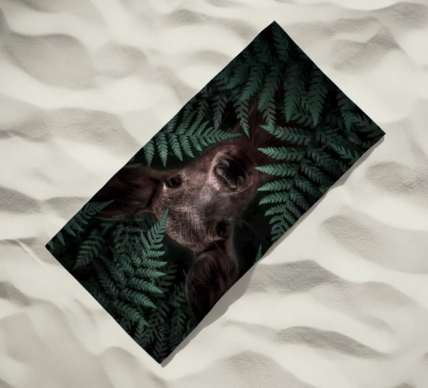 Deer telo mare da arizrab