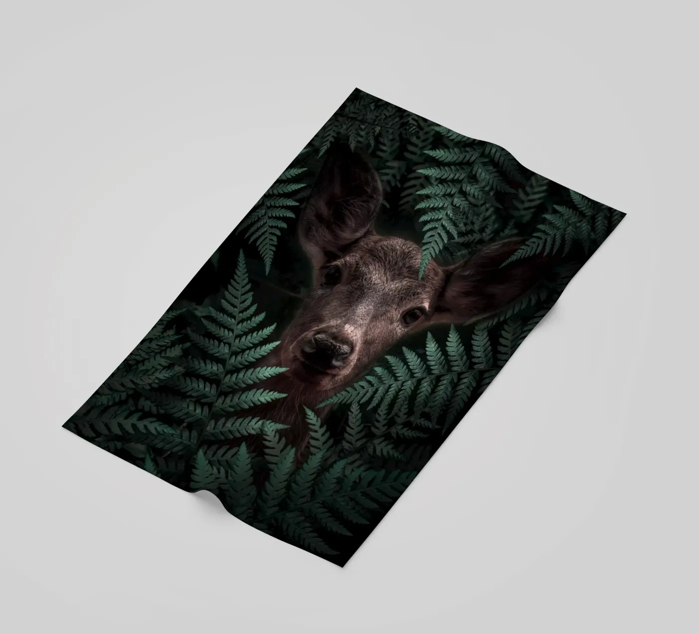 Deer telo mare da arizrab