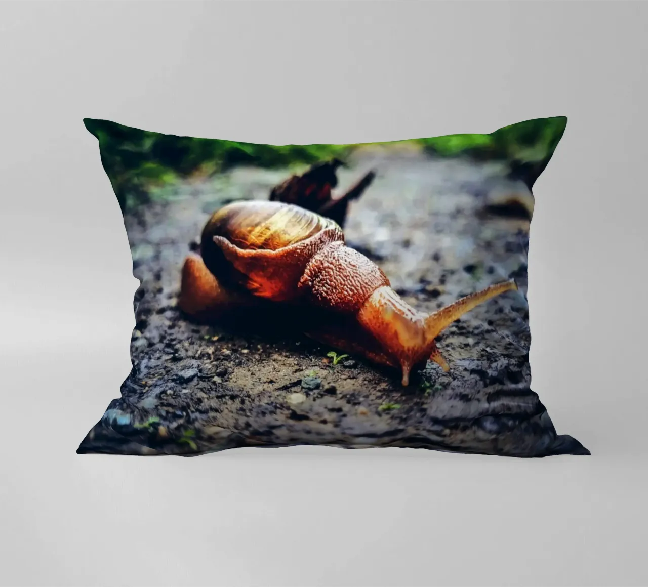 Klein, aber beharrlich, langsam, aber stolz. Kissen von Nature's Palette