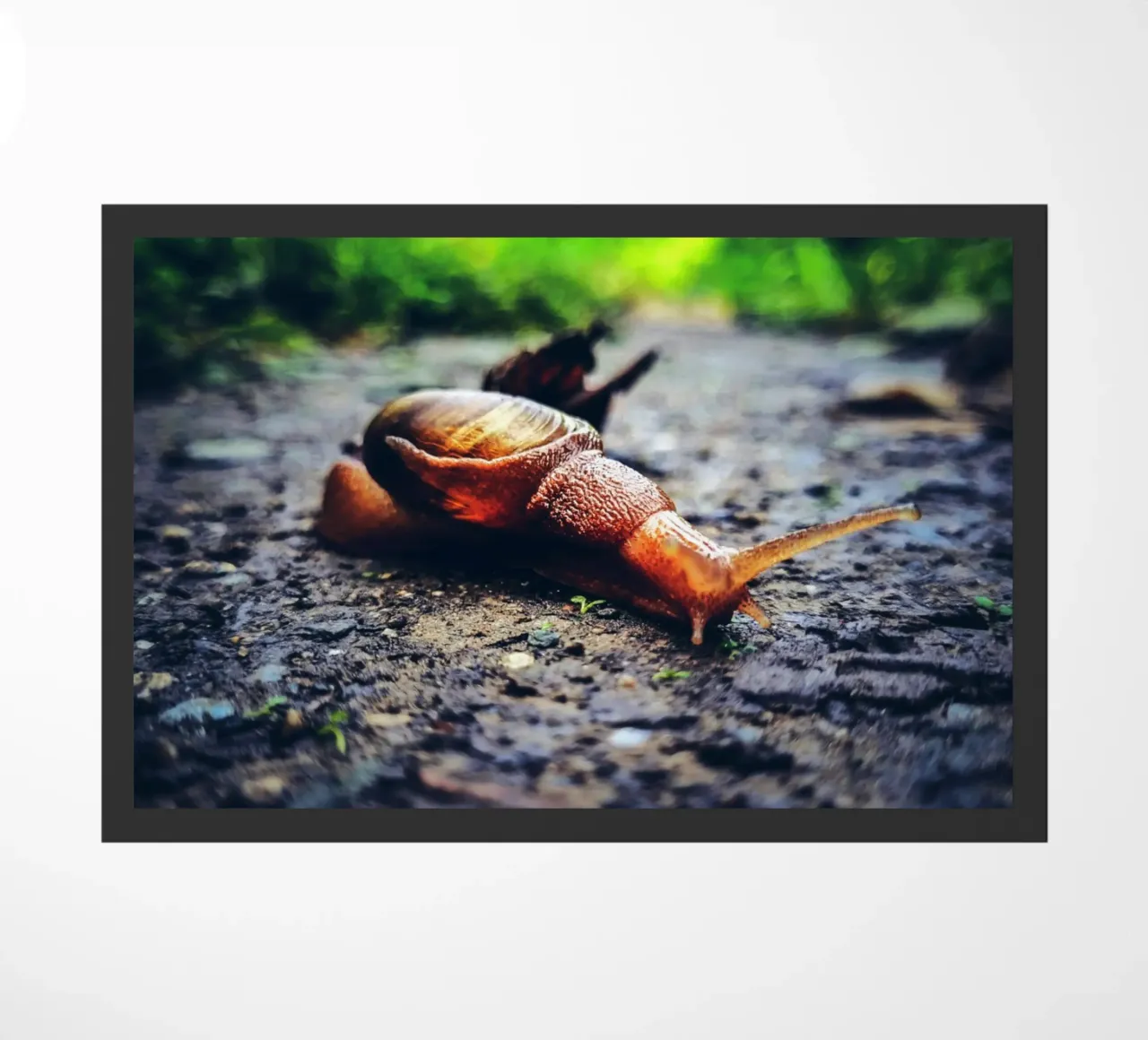 Petit mais persistant, lent mais fier. paillasson de Nature's Palette