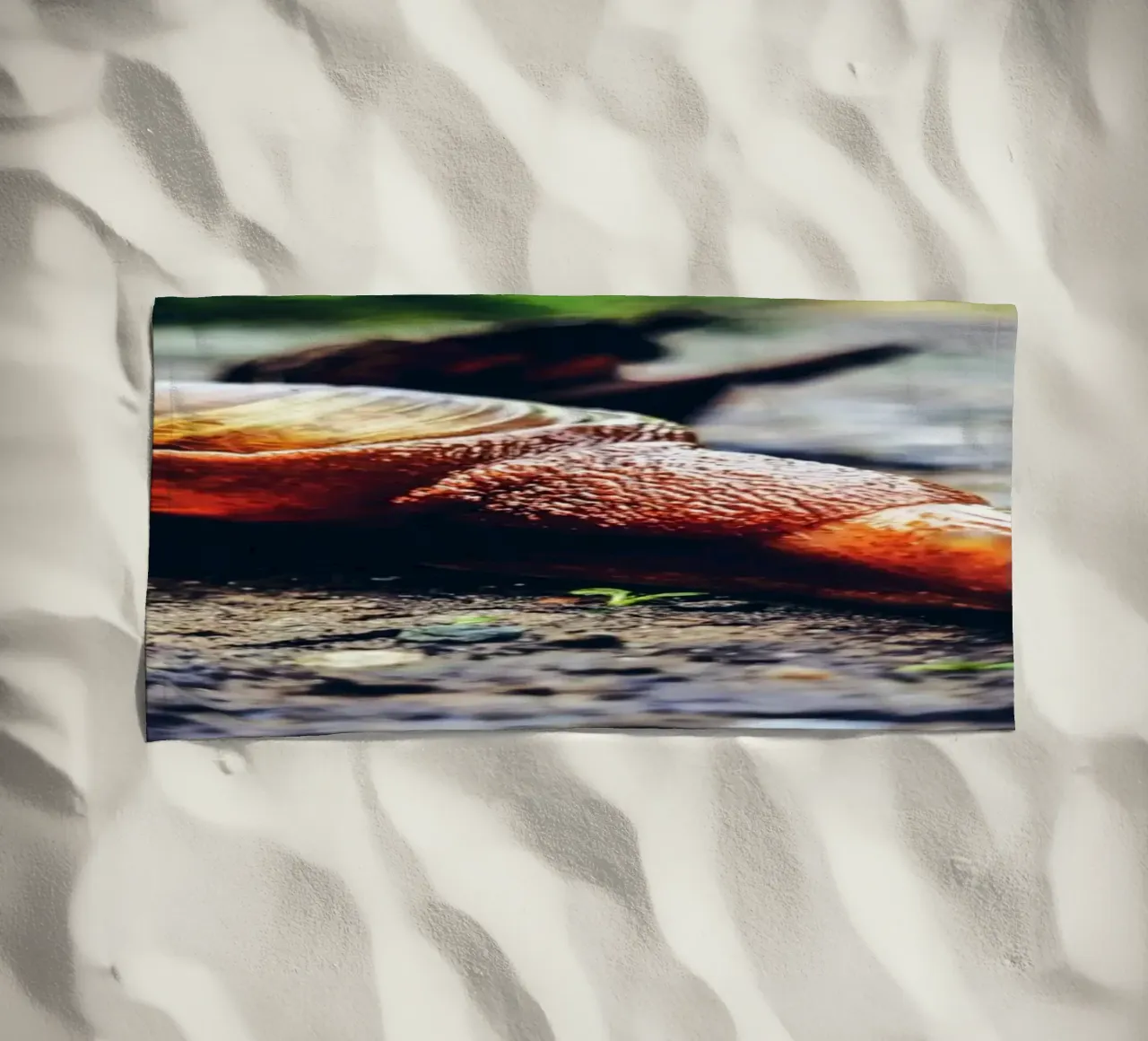 Small but persistent, slow but proud. beach towel by Nature's Palette
