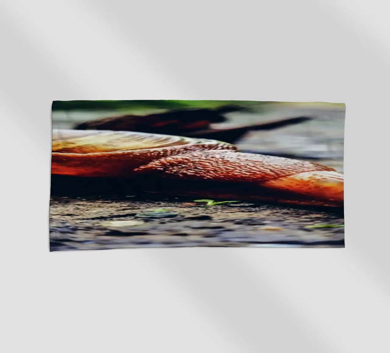 Small but persistent, slow but proud. beach towel by Nature's Palette