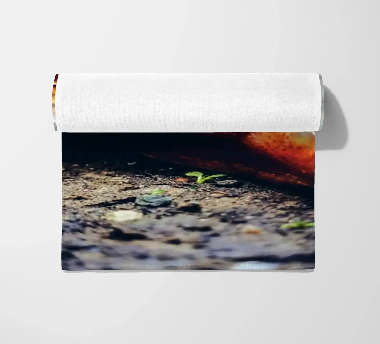 Small but persistent, slow but proud. beach towel by Nature's Palette