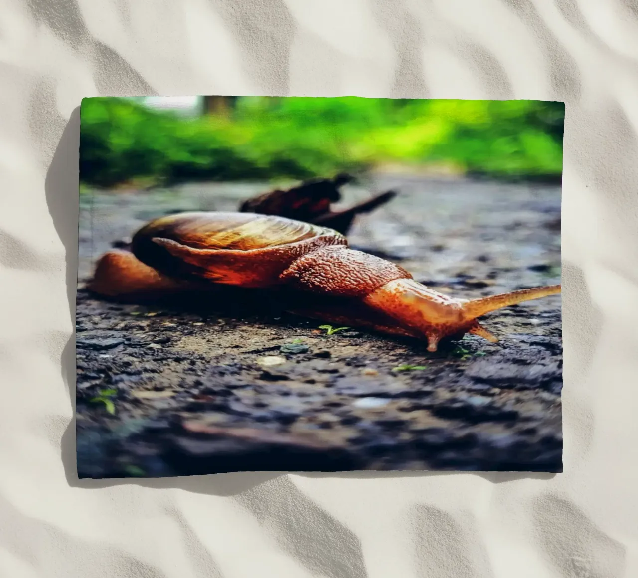 Small but persistent, slow but proud. beach towel by Nature's Palette