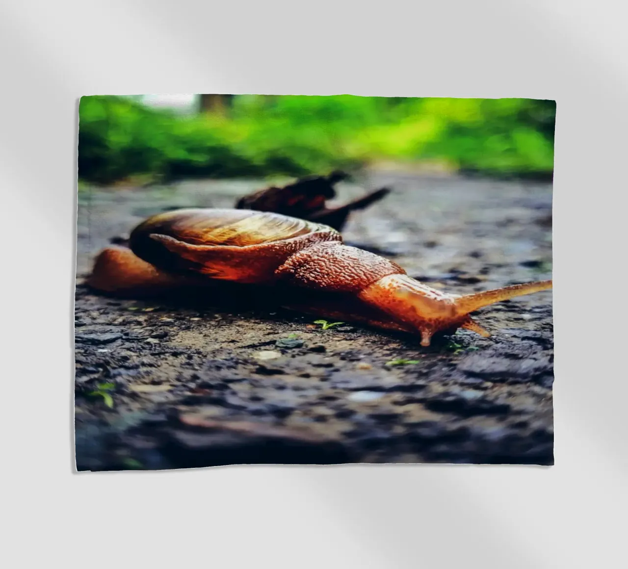 Small but persistent, slow but proud. beach towel by Nature's Palette