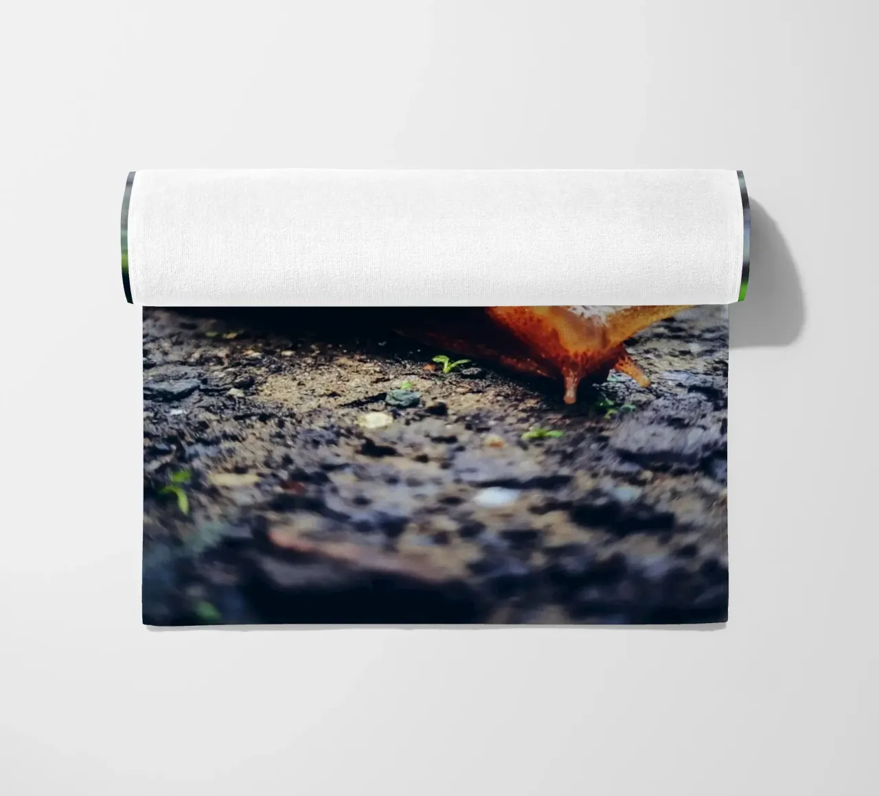 Small but persistent, slow but proud. beach towel by Nature's Palette