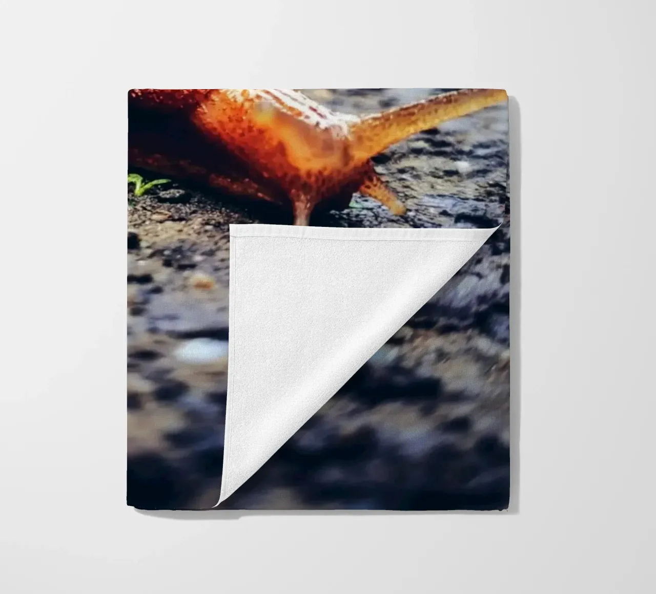 Small but persistent, slow but proud. beach towel by Nature's Palette