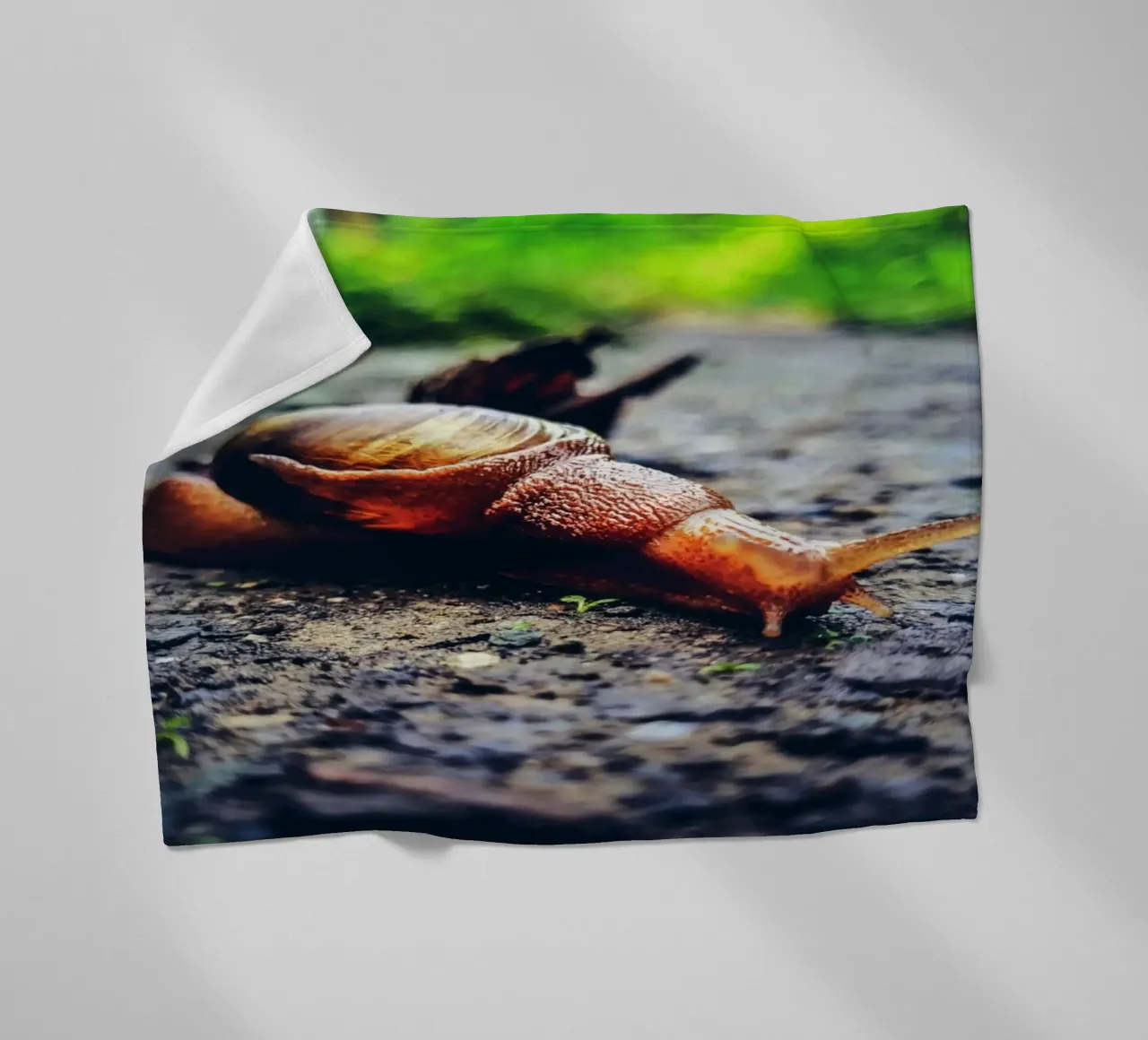 Piccolo ma persistente, lento ma orgoglioso. coperta in pile da Nature's Palette