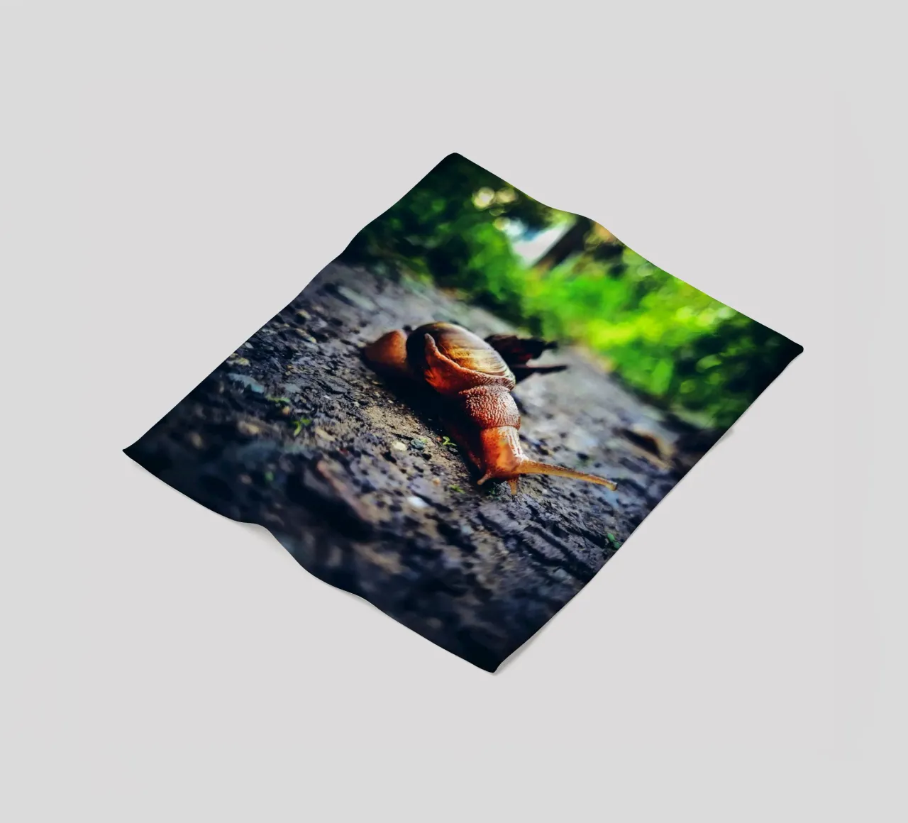 Petit mais persistant, lent mais fier. plaid polaire de Nature's Palette