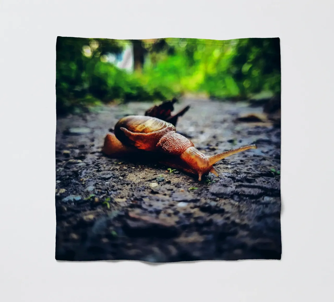 Piccolo ma persistente, lento ma orgoglioso. coperta in pile da Nature's Palette