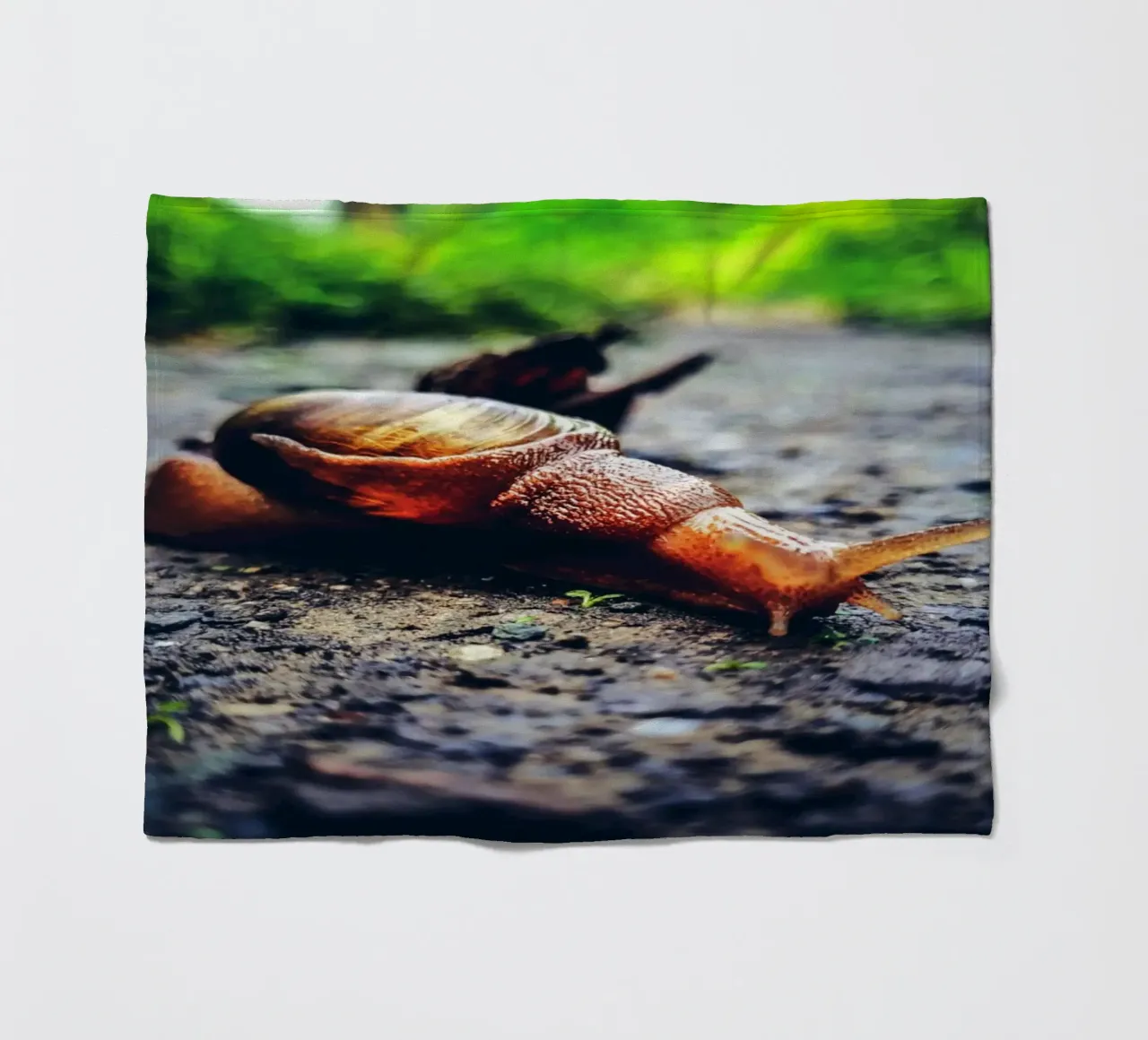 Piccolo ma persistente, lento ma orgoglioso. coperta in pile da Nature's Palette