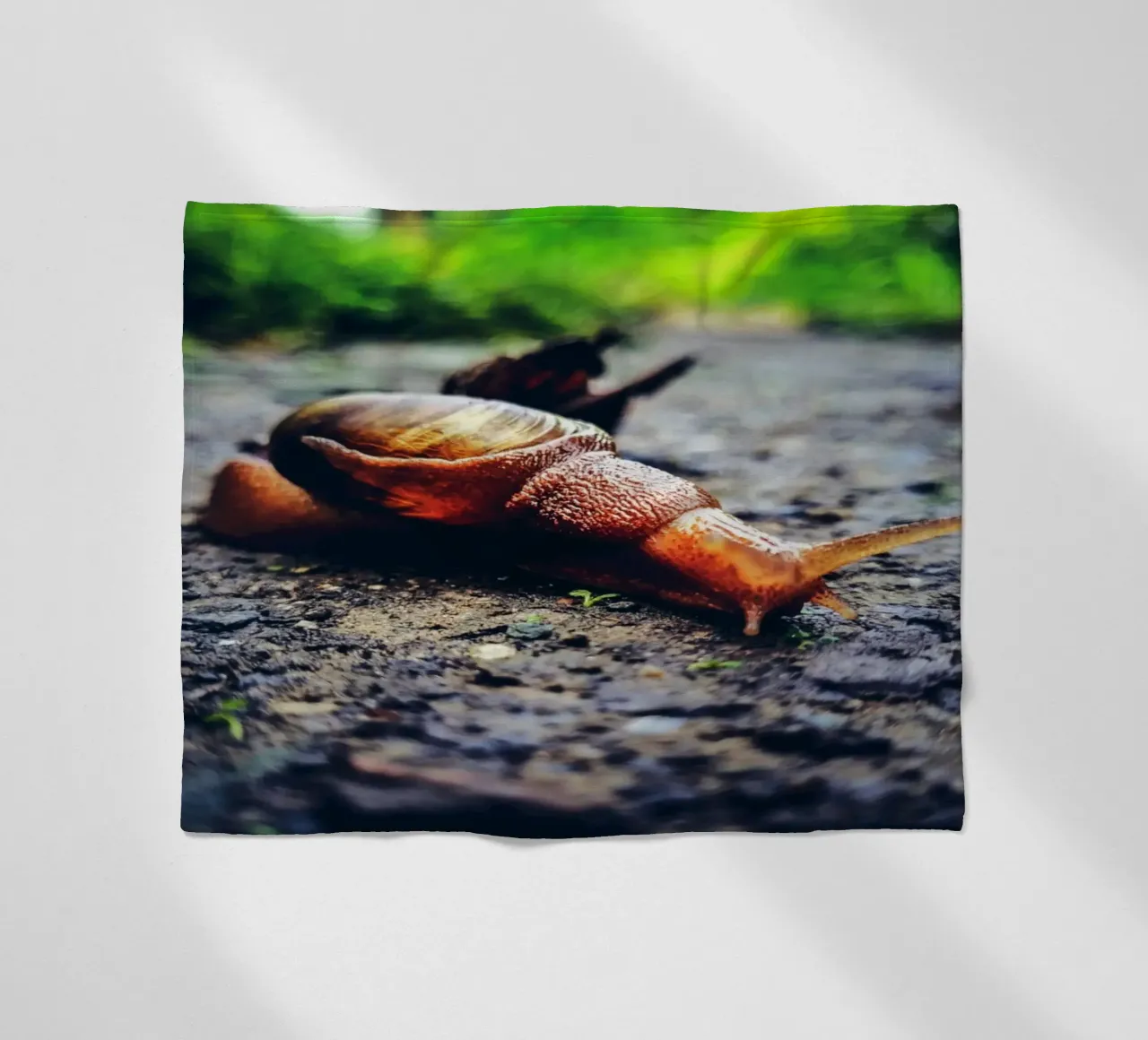 Piccolo ma persistente, lento ma orgoglioso. coperta in pile da Nature's Palette