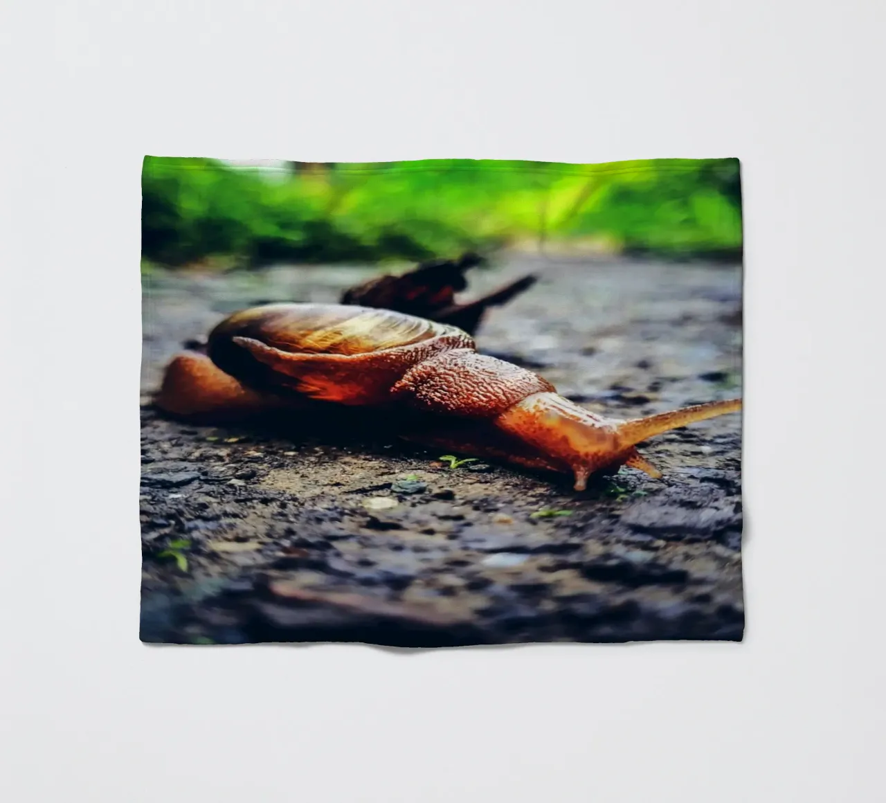 Piccolo ma persistente, lento ma orgoglioso. coperta in pile da Nature's Palette