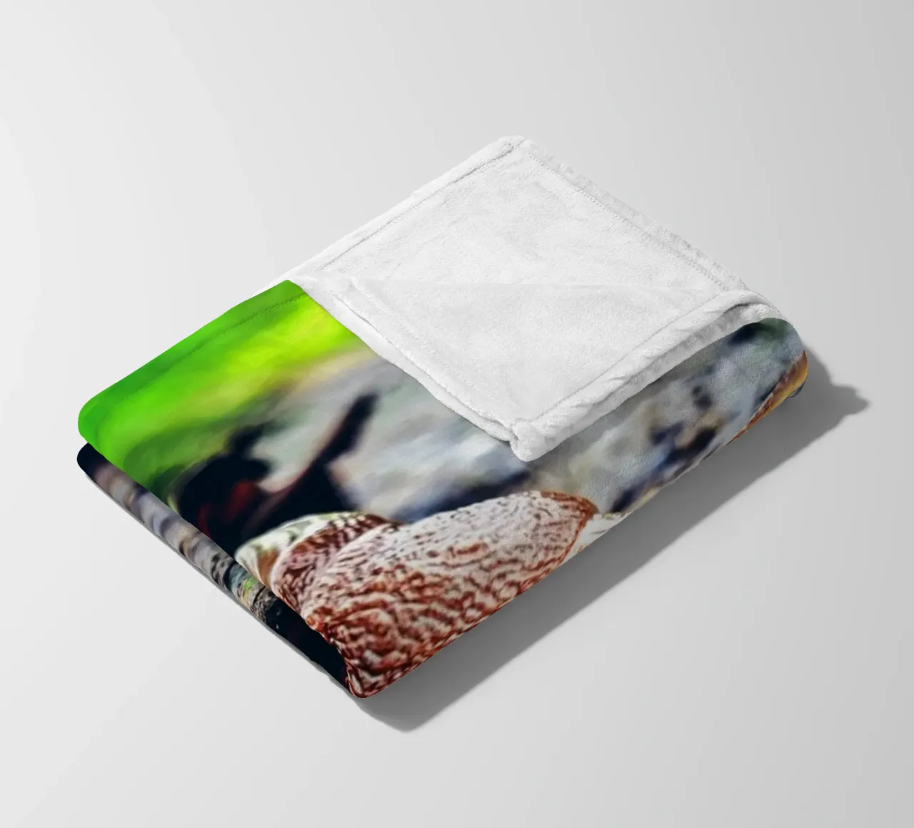Petit mais persistant, lent mais fier. plaid polaire de Nature's Palette