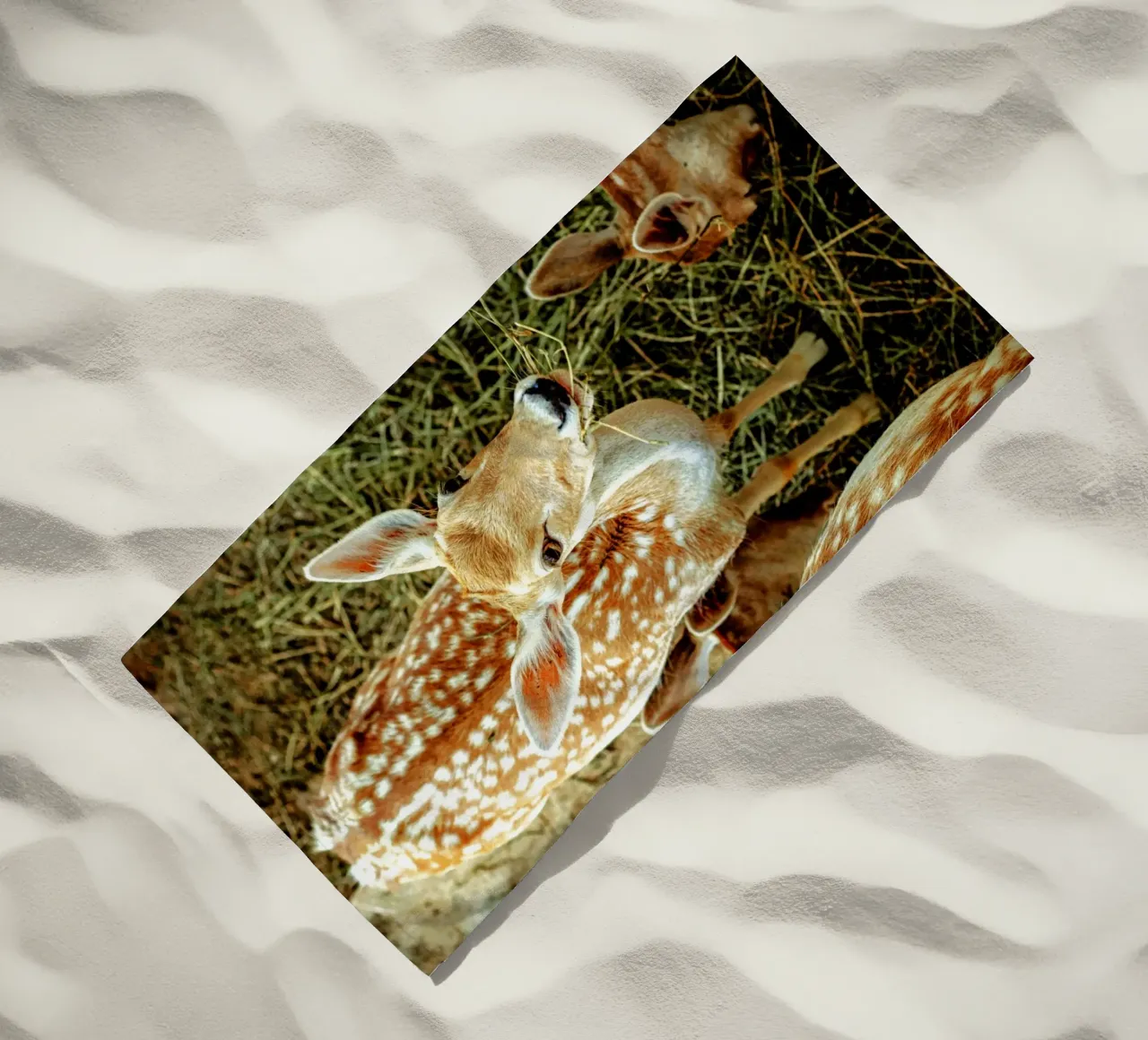 Cervo Sika - Simbolo di purezza e pace. telo mare da Nature's Palette