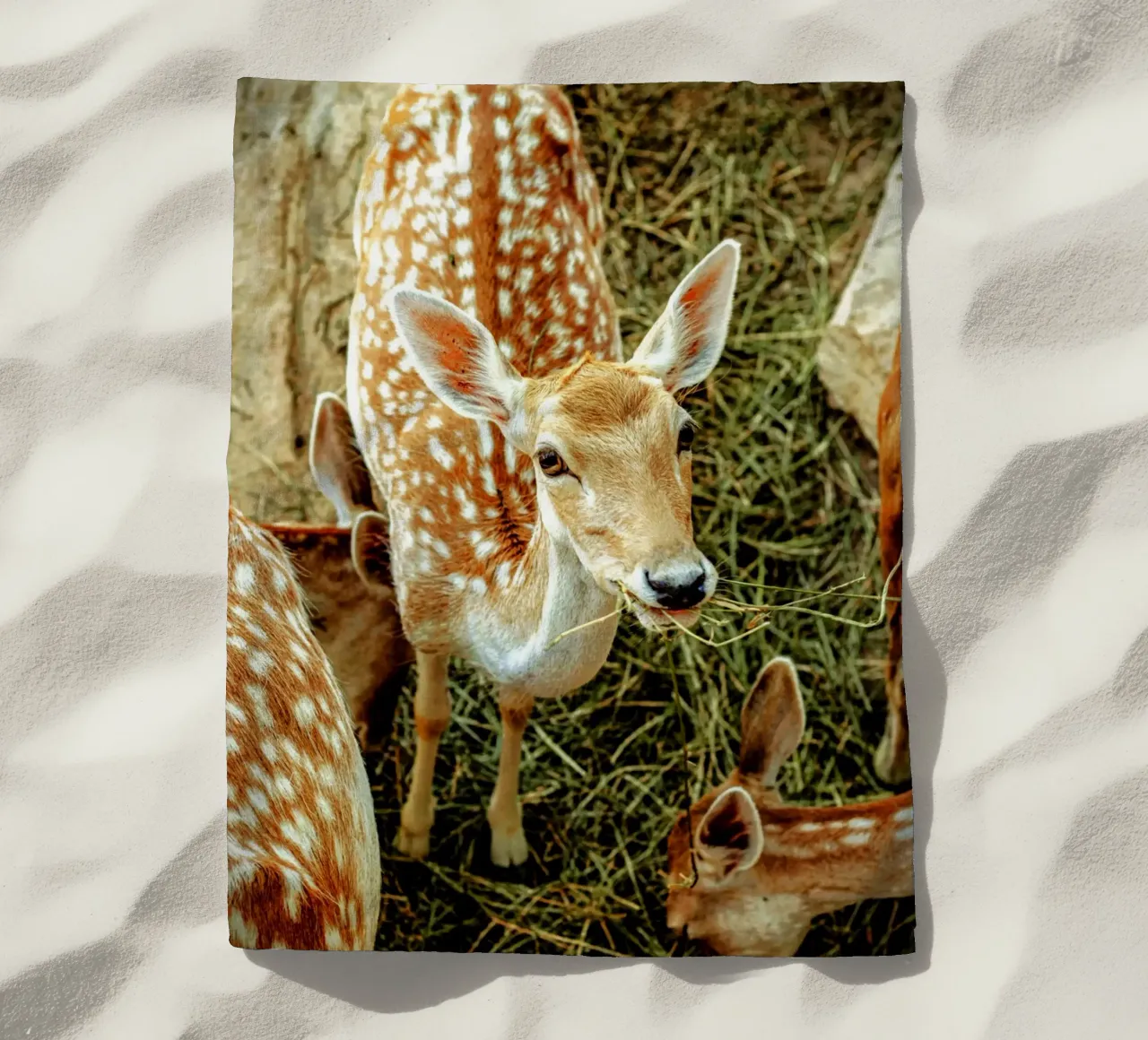 Cervo Sika - Simbolo di purezza e pace. telo mare da Nature's Palette