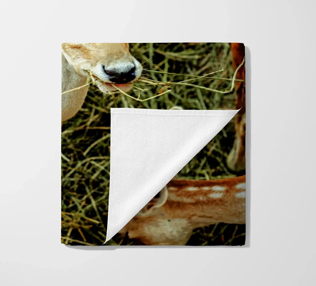 Cervo Sika - Simbolo di purezza e pace. telo mare da Nature's Palette
