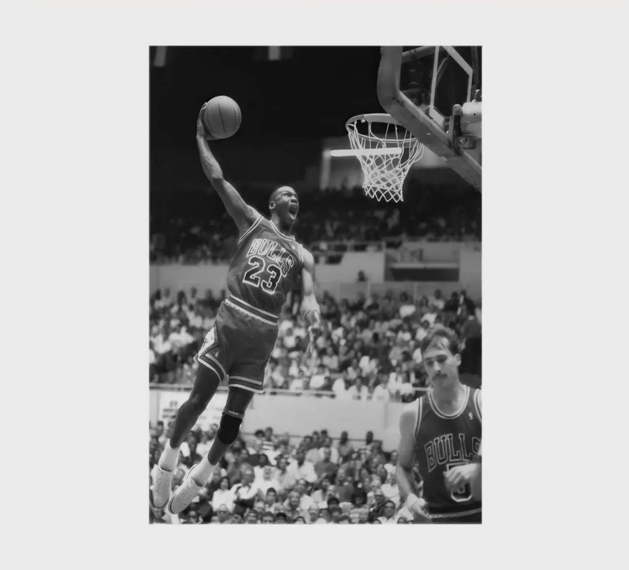 Michael Jordan che fa il dungeon diario da blacsteel
