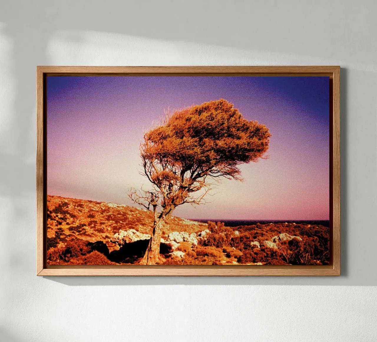 Crete Heat aluminium-dibond van BLAEK Design Studio