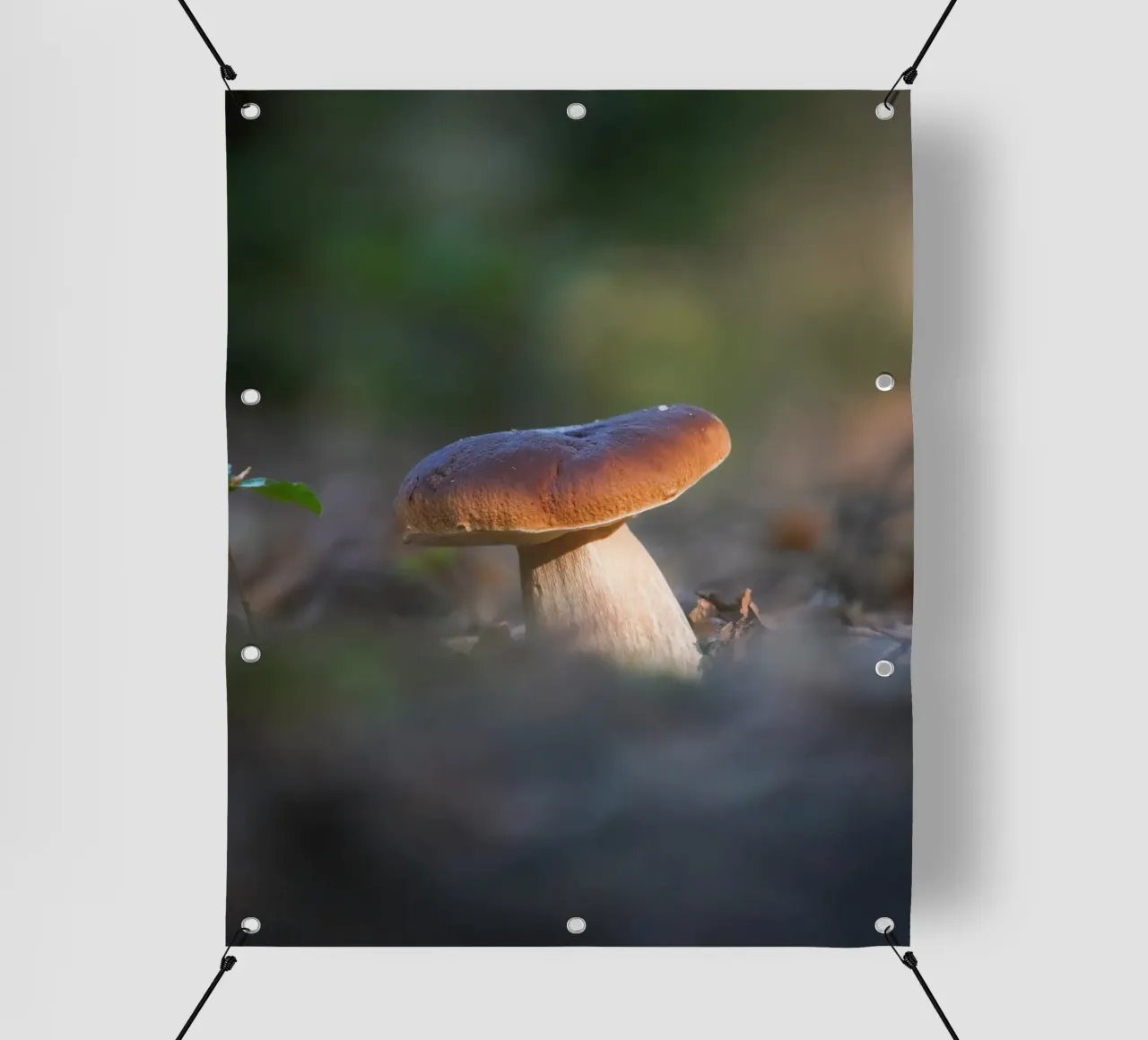 Autumn funghi telo in pvc da Tom's Wildlife