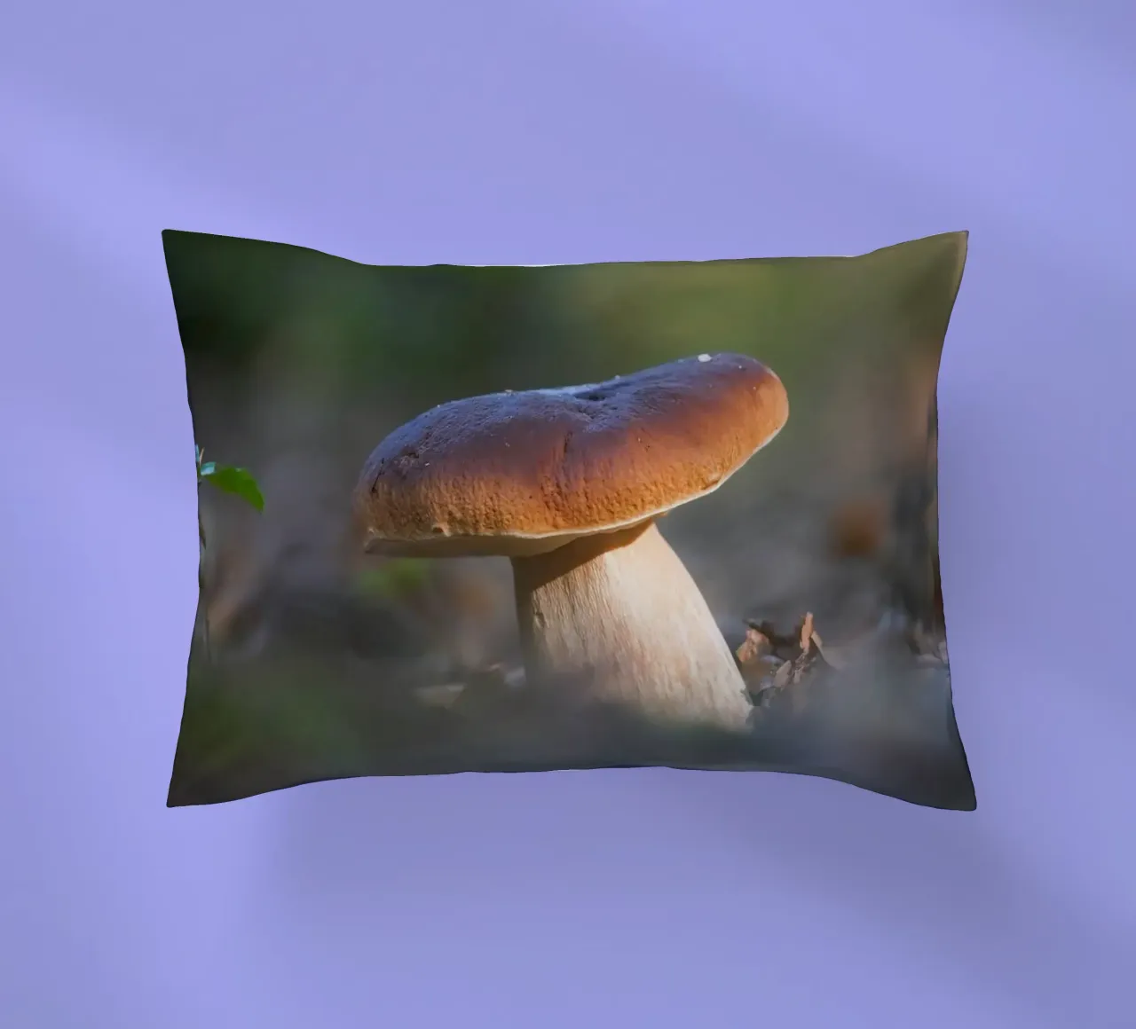 Autumn funghi cuscino da Tom's Wildlife