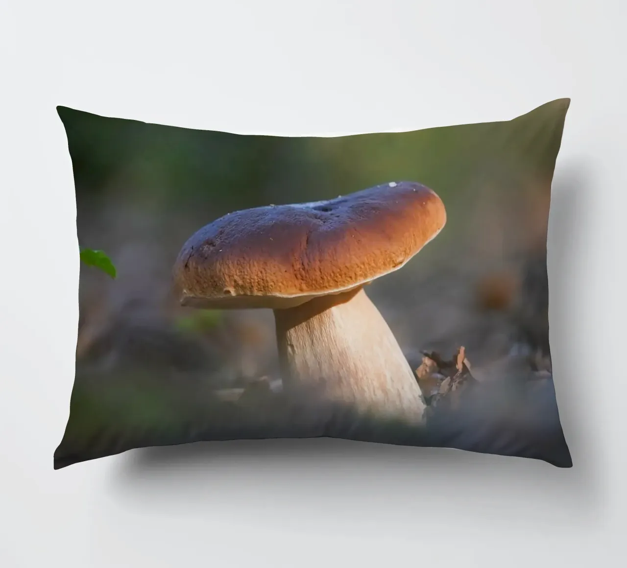Autumn funghi cuscino da Tom's Wildlife
