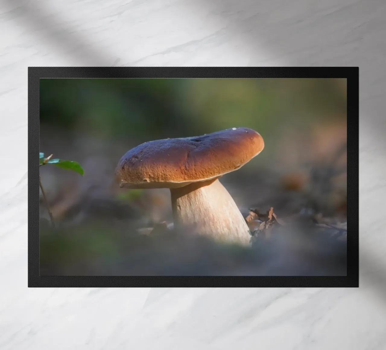 Autumn funghi zerbino da Tom's Wildlife