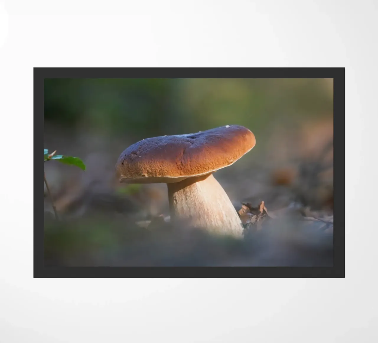 Autumn funghi zerbino da Tom's Wildlife