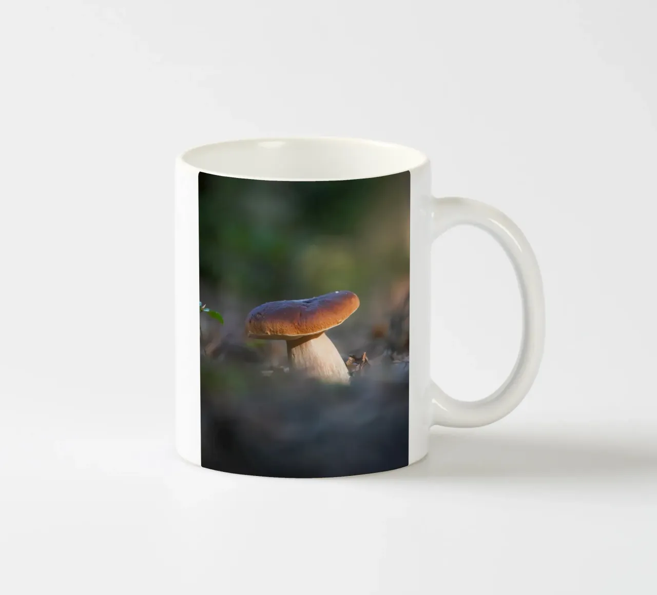 Autumn funghi tazza in ceramica da Tom's Wildlife