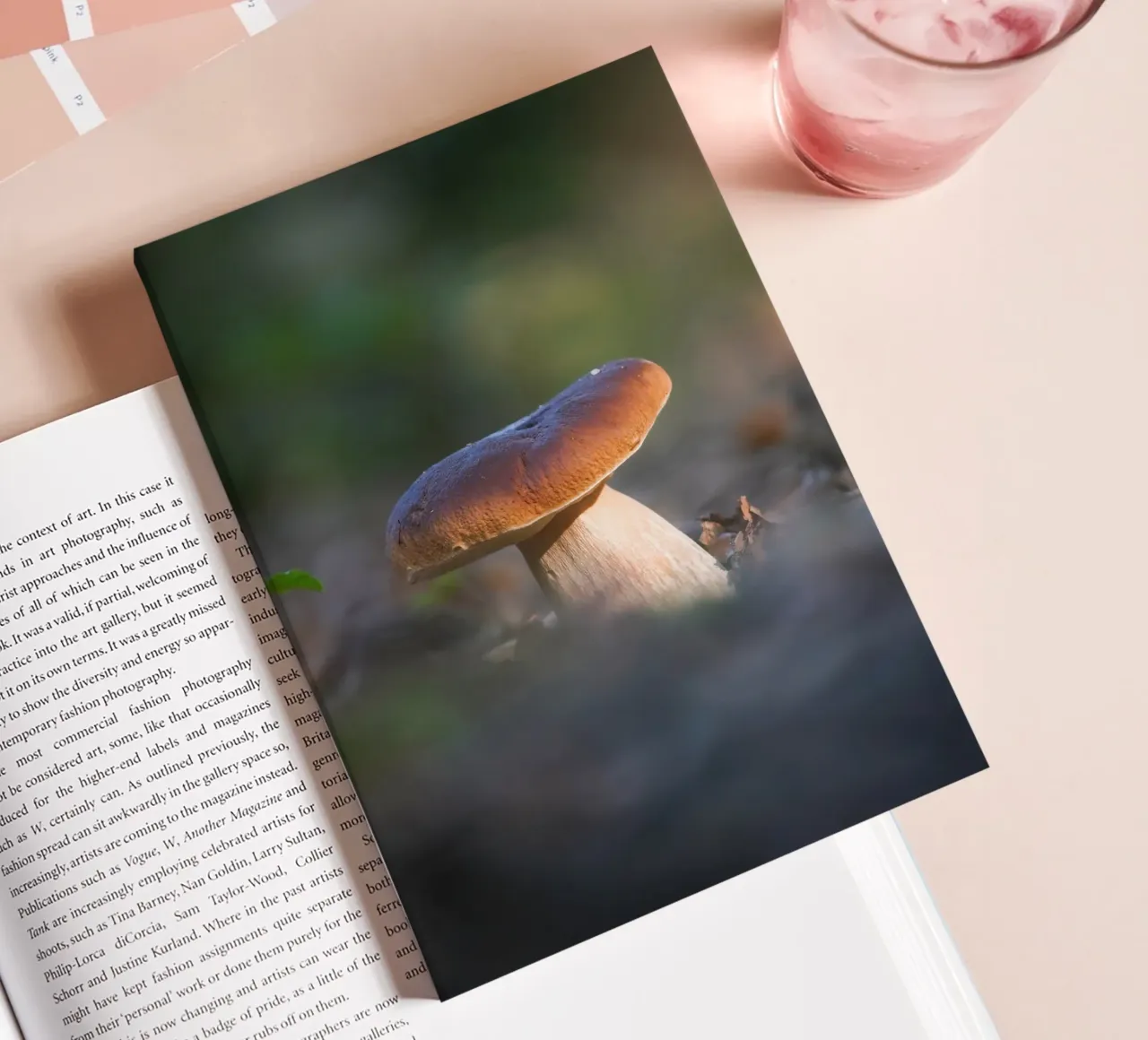 Herbst Pilze Notizbuch von Tom's Wildlife