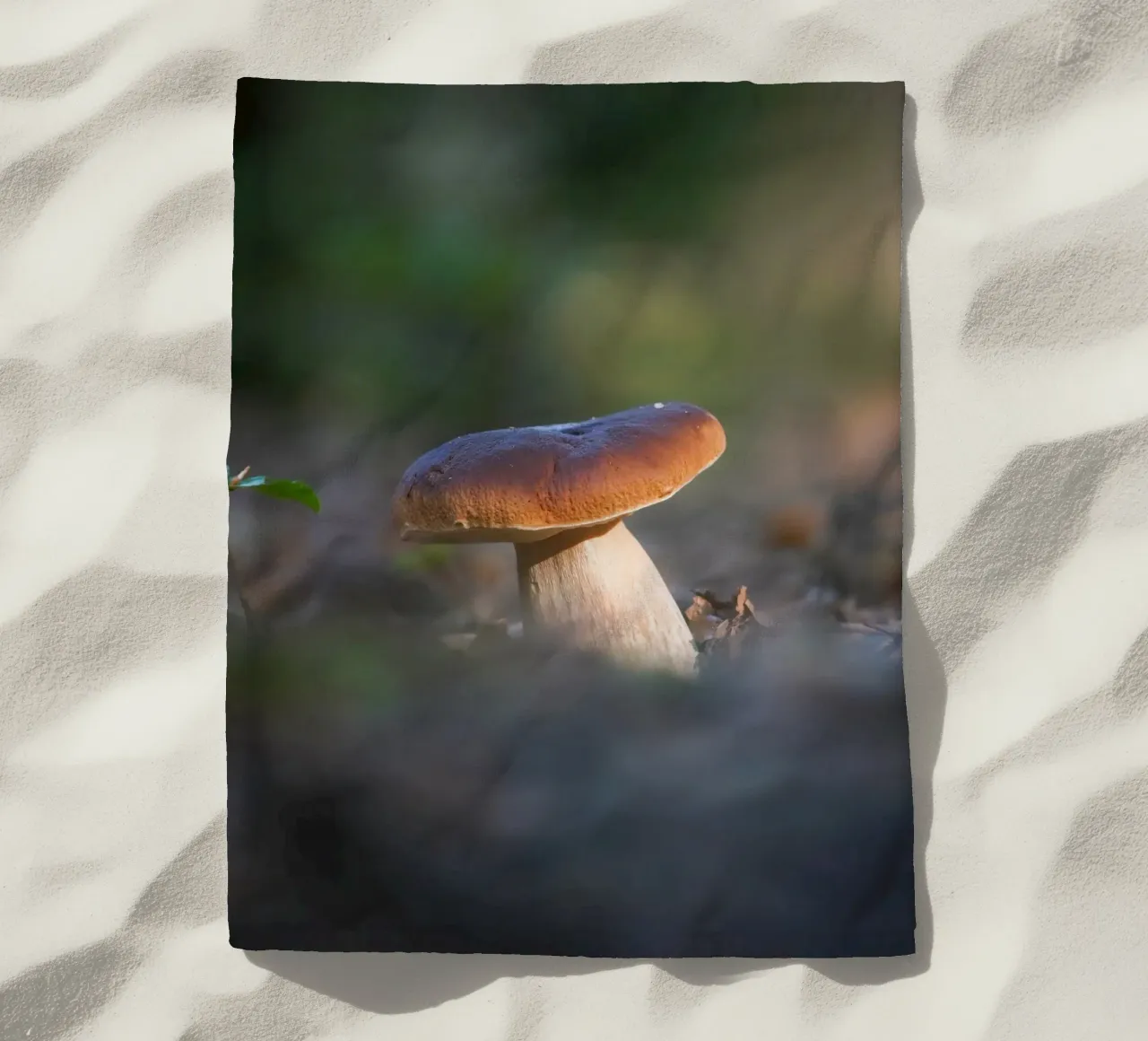 Autumn funghi telo mare da Tom's Wildlife